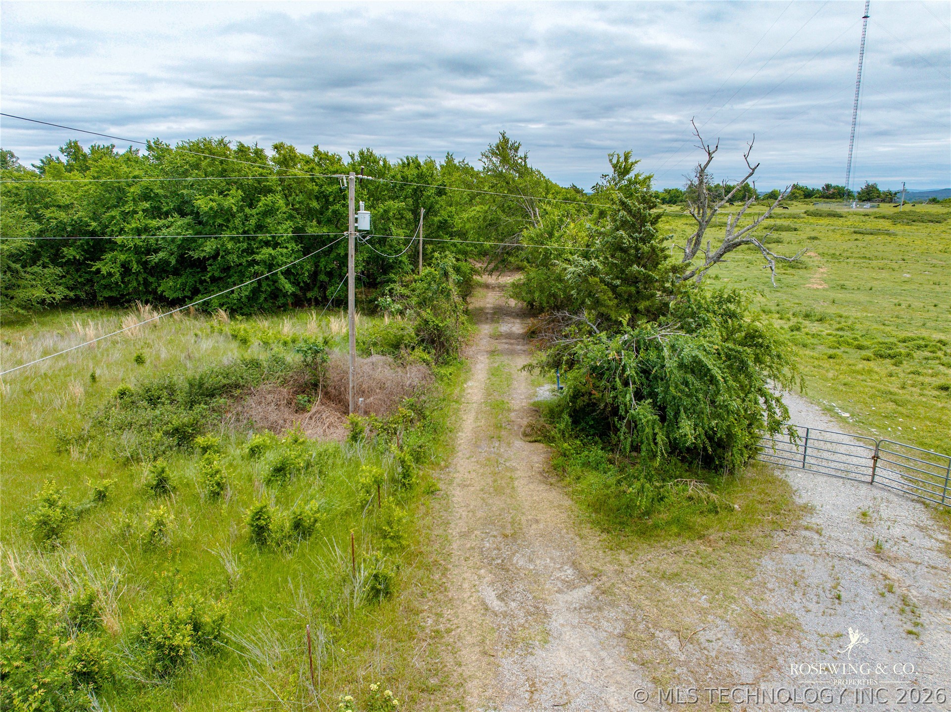 Pine Tree Road Property Photo 8