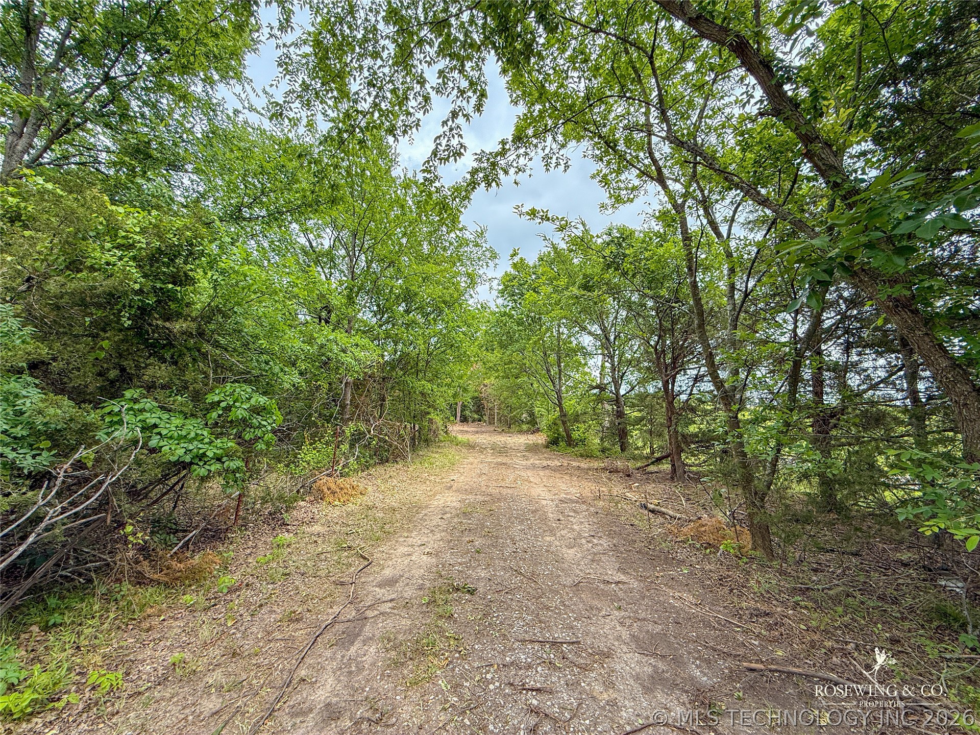 Pine Tree Road Property Photo 9