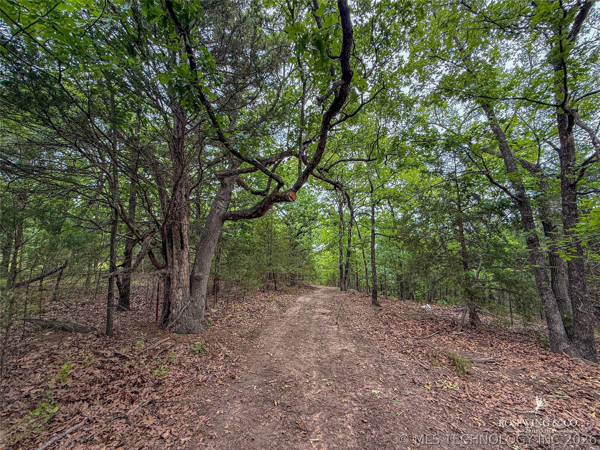 Pine Tree Road Property Photo 11