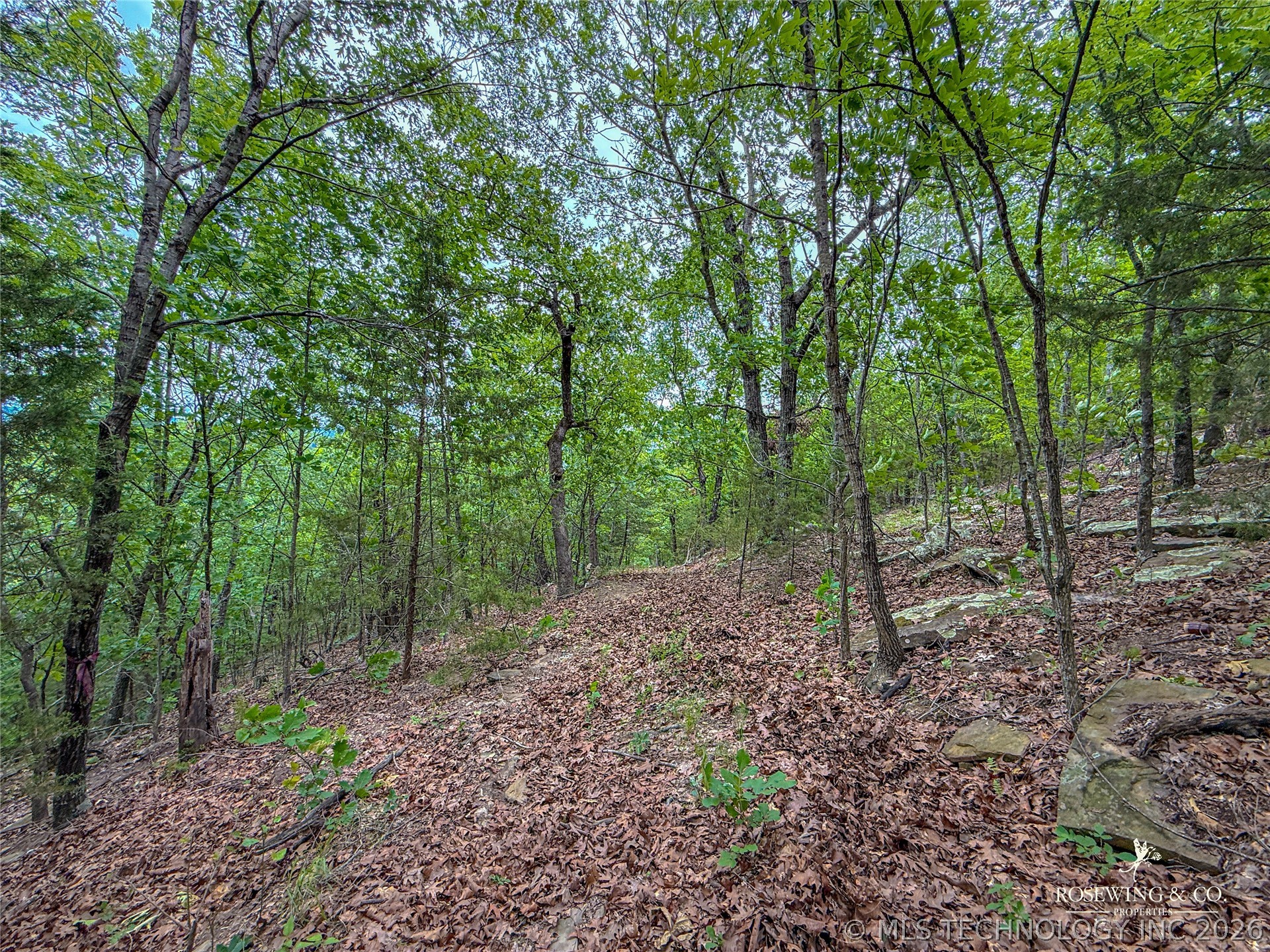 Pine Tree Road Property Photo 13