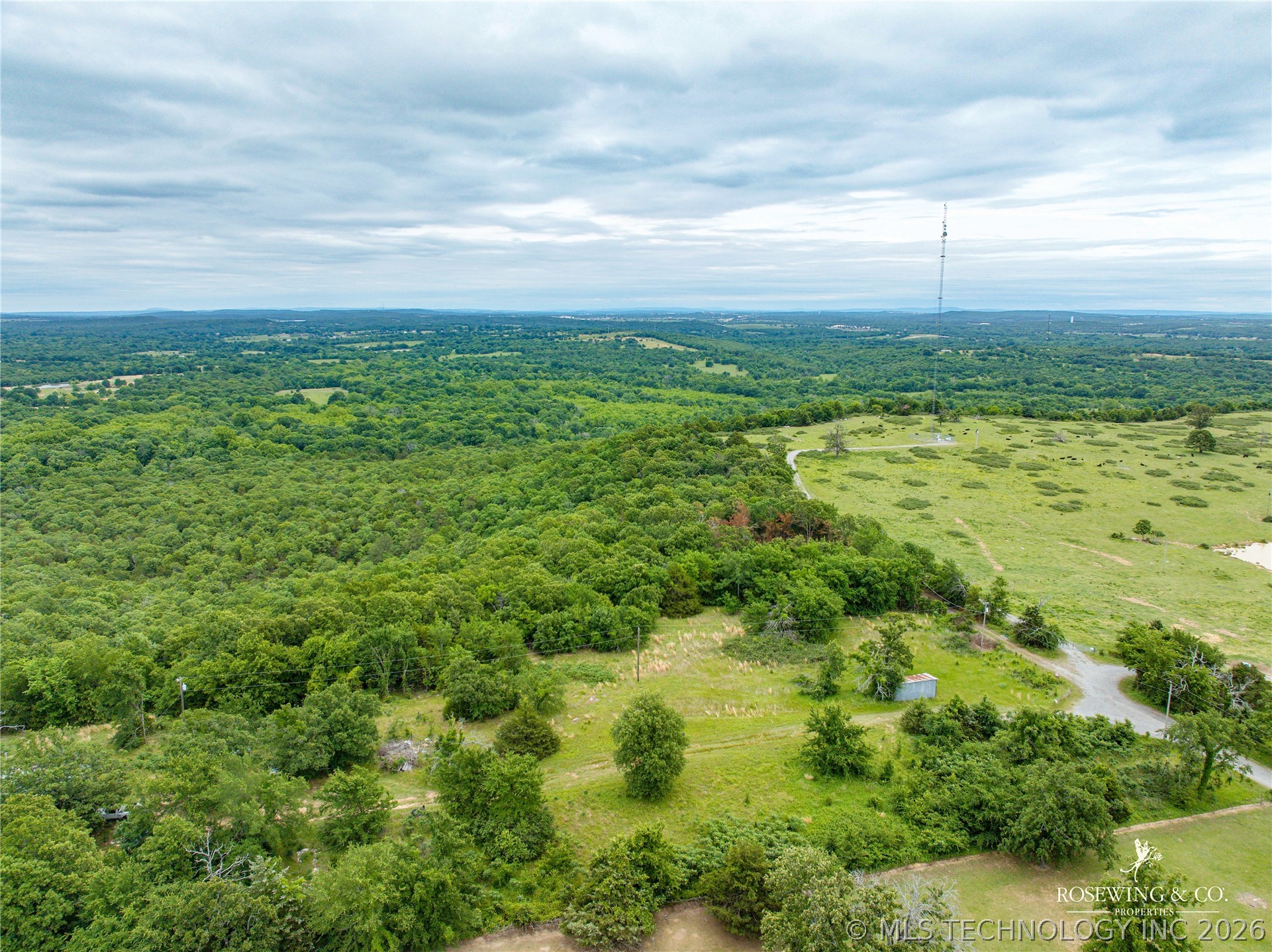 Pine Tree Road Property Photo 17