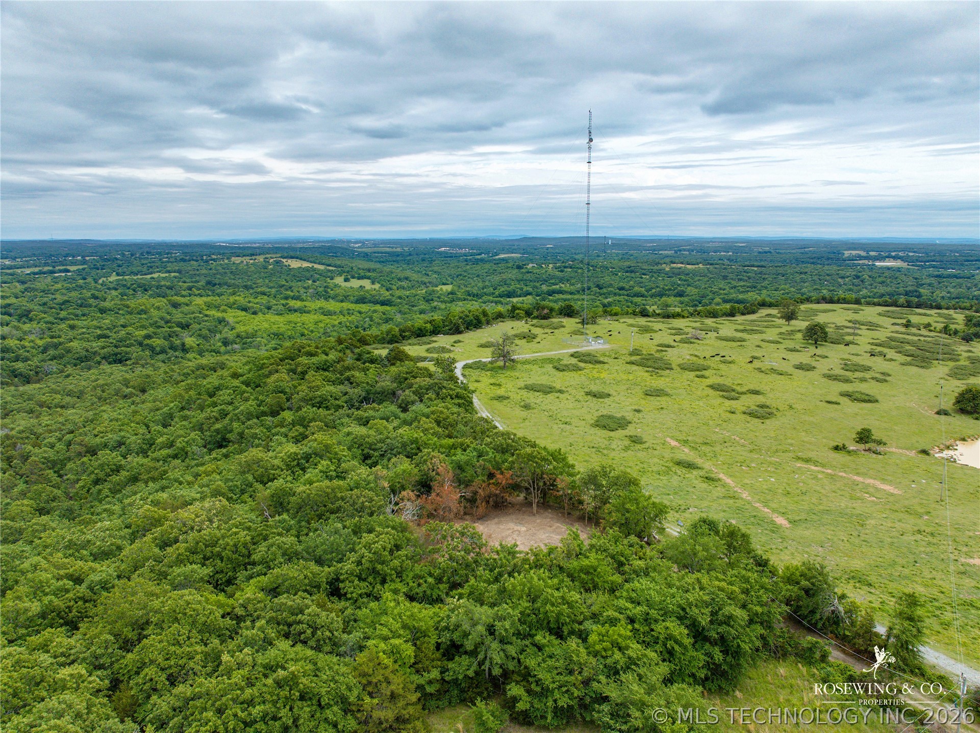 Pine Tree Road Property Photo 19