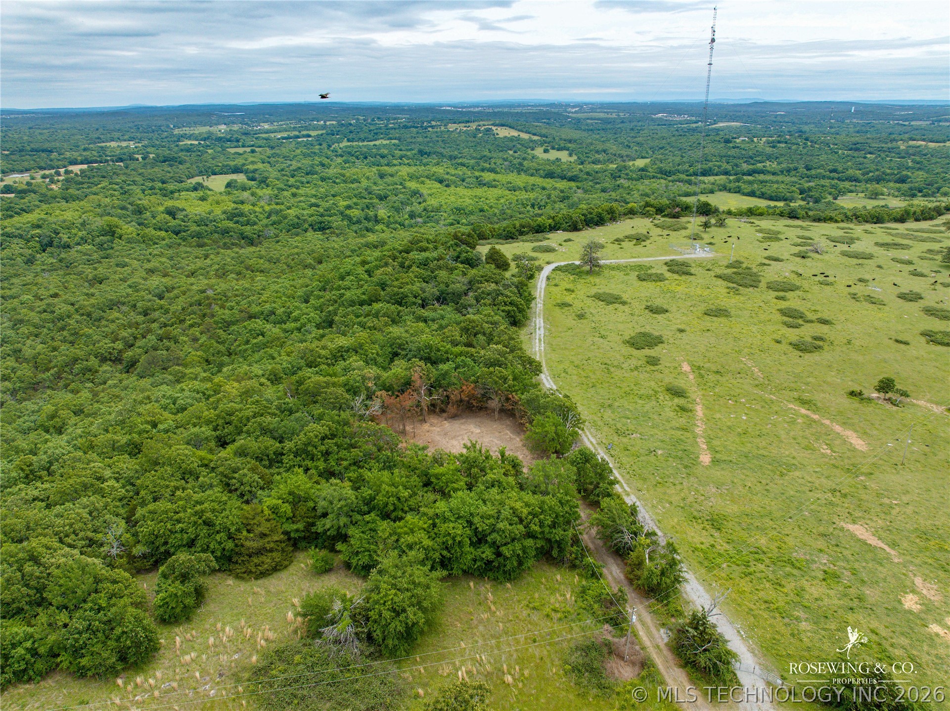 Pine Tree Road Property Photo 24