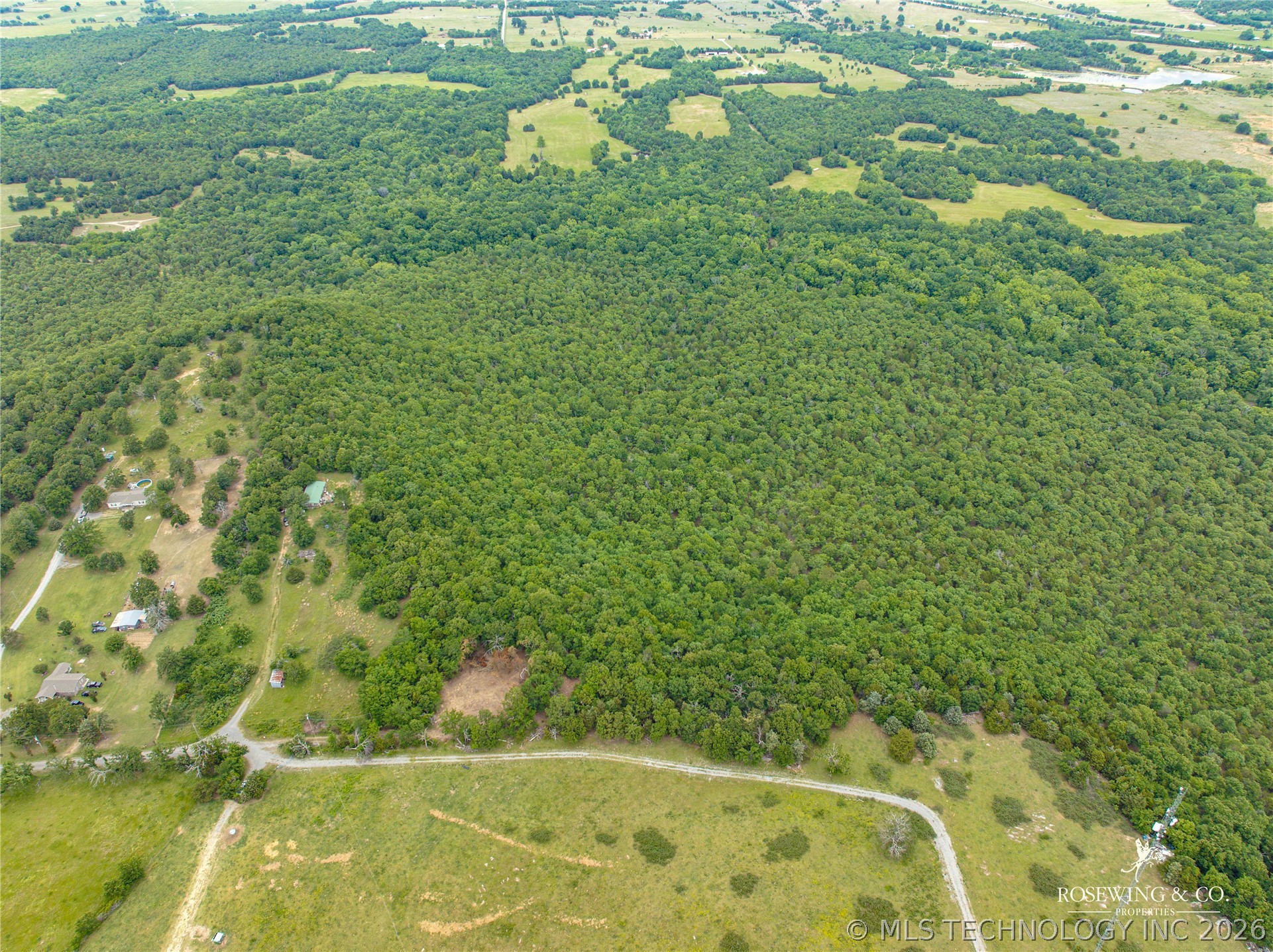Pine Tree Road Property Photo 25