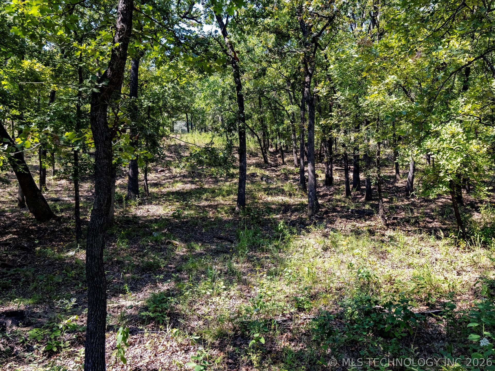 393152 W 2600 Road Property Photo 49