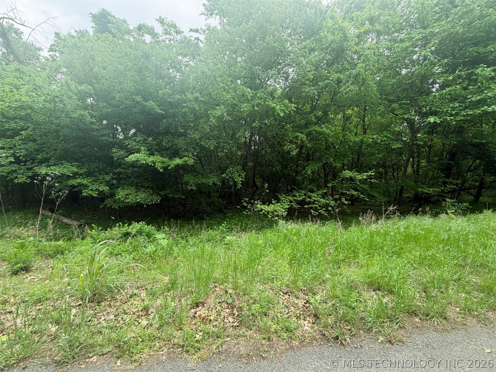 18500 W Sugar Mountain Circle Property Photo 4