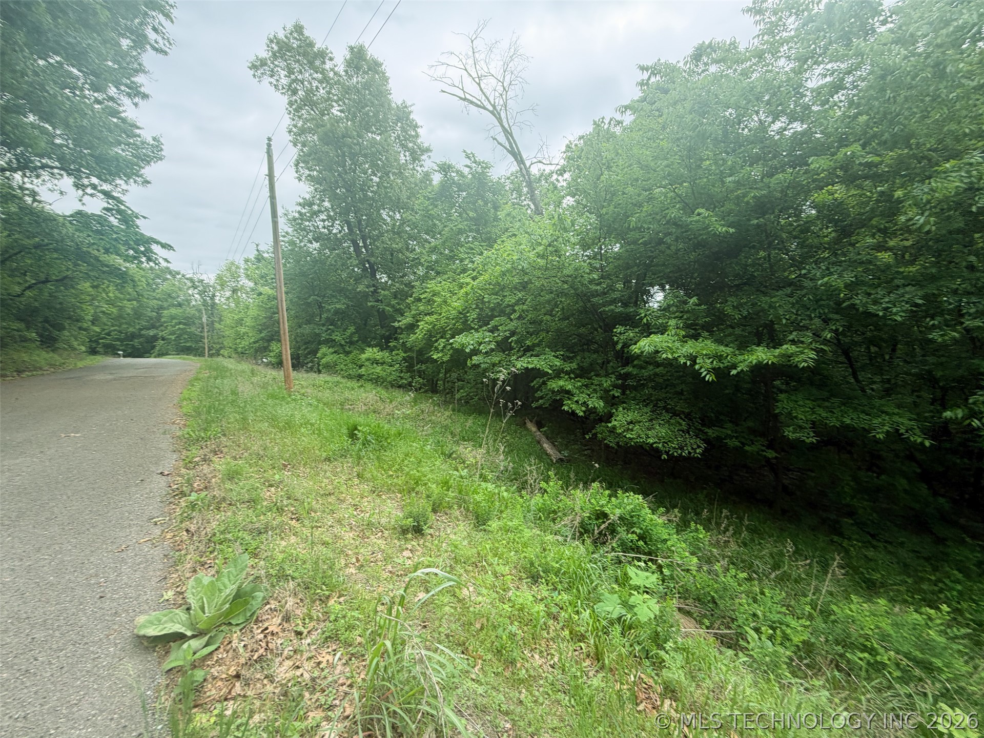 18500 W Sugar Mountain Circle Property Photo 5