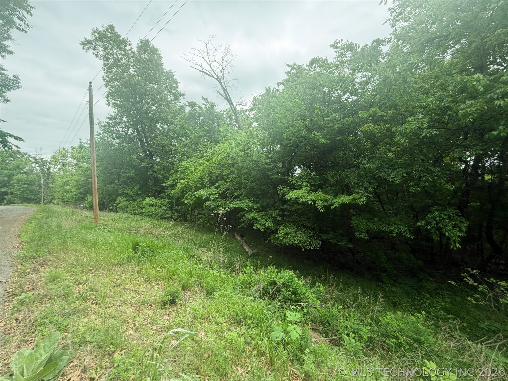 18500 W Sugar Mountain Circle Property Photo 6