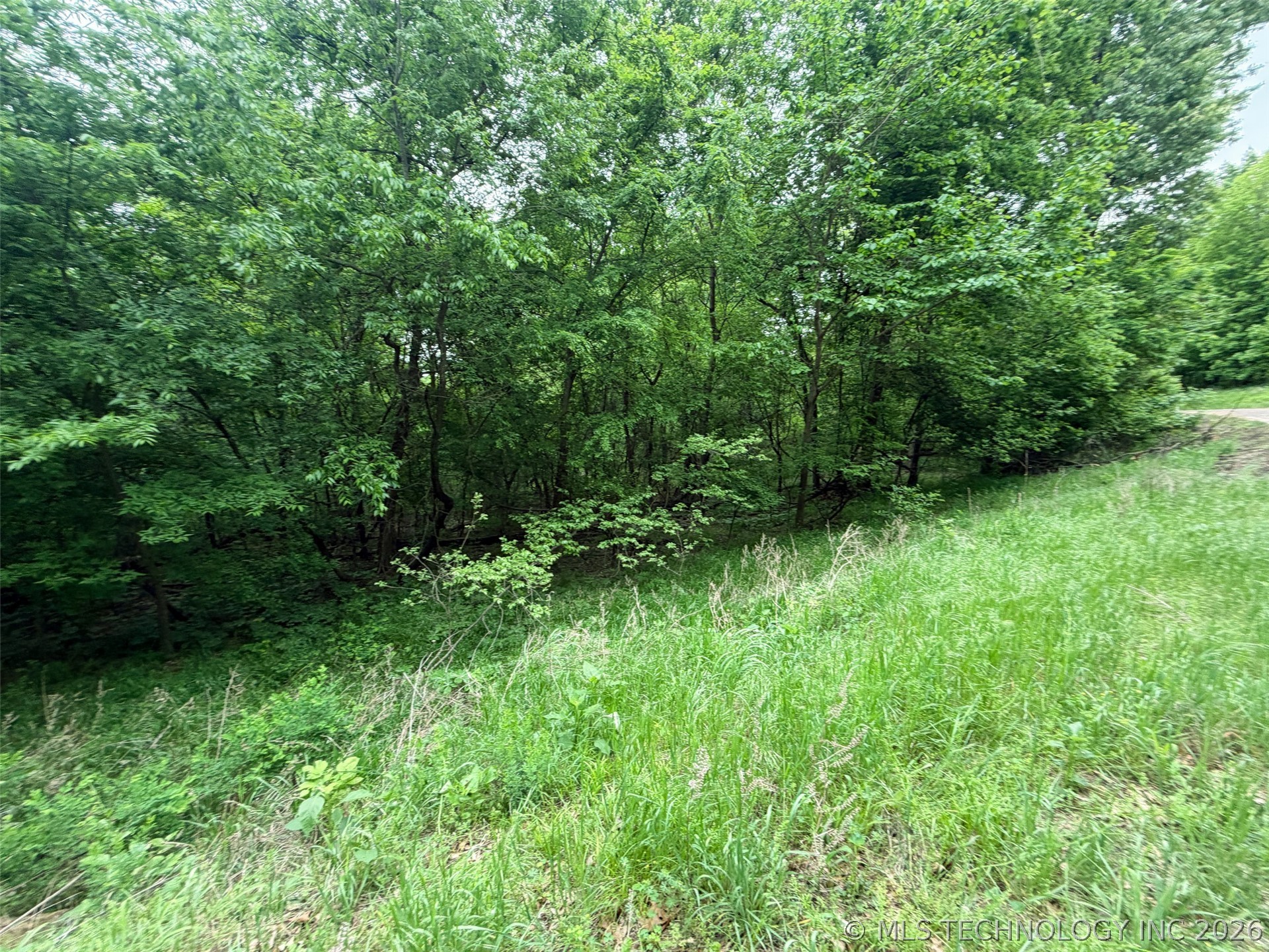 18500 W Sugar Mountain Circle Property Photo 8