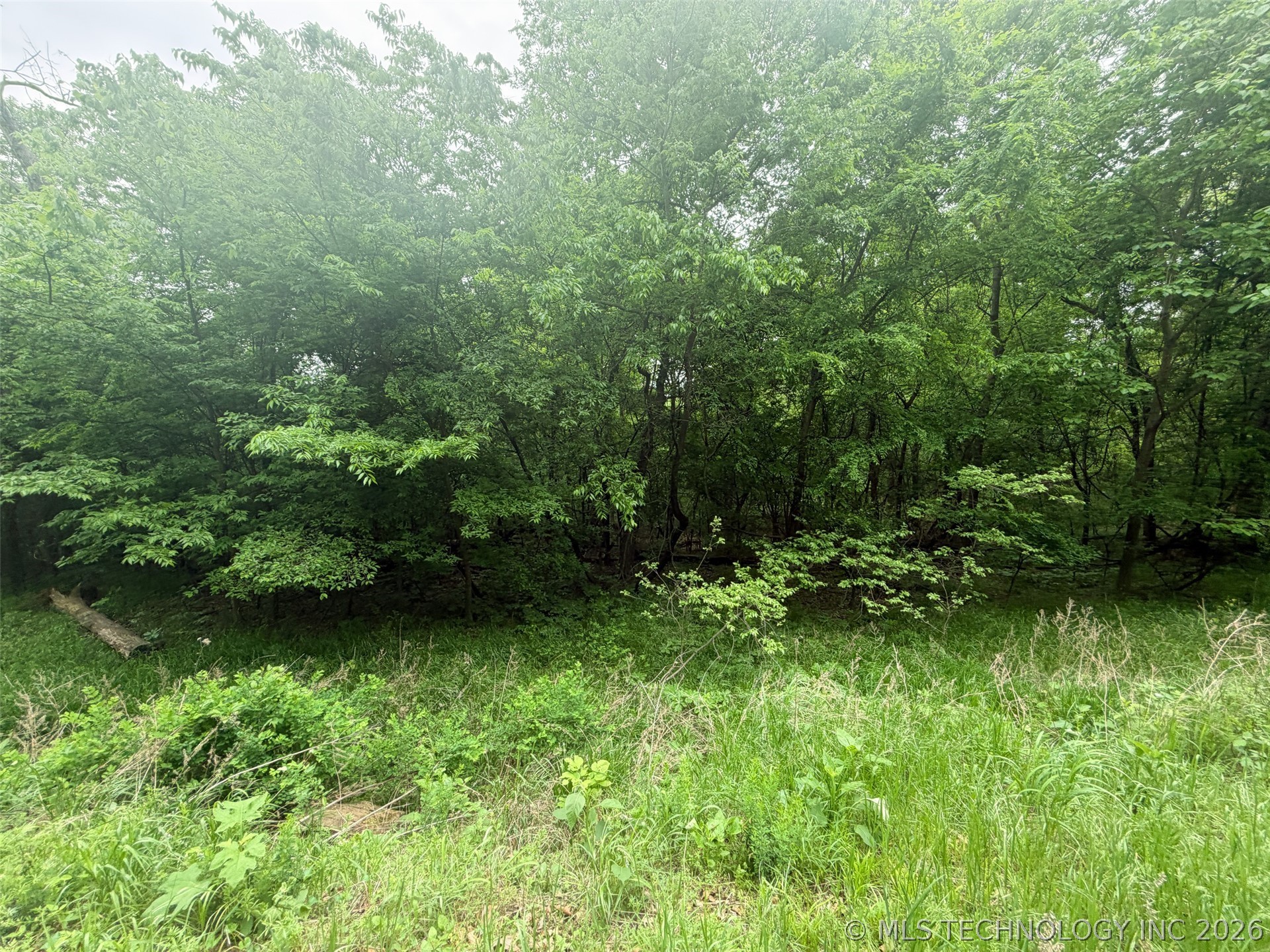 18500 W Sugar Mountain Circle Property Photo 11