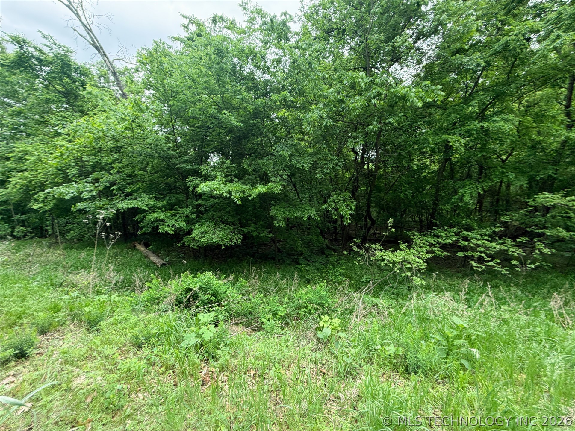 18500 W Sugar Mountain Circle Property Photo 14