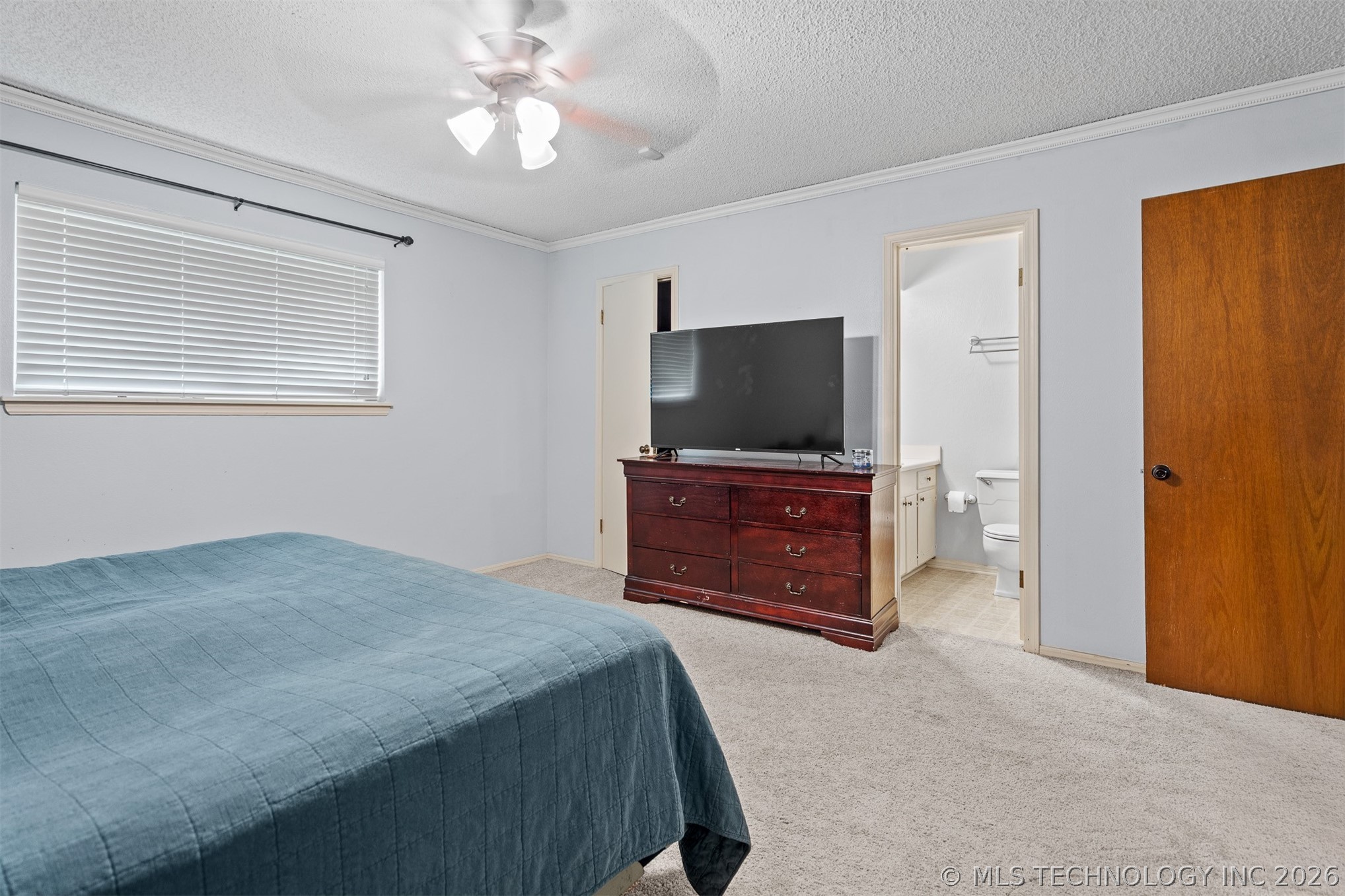 1726 Downing Street Property Photo 21