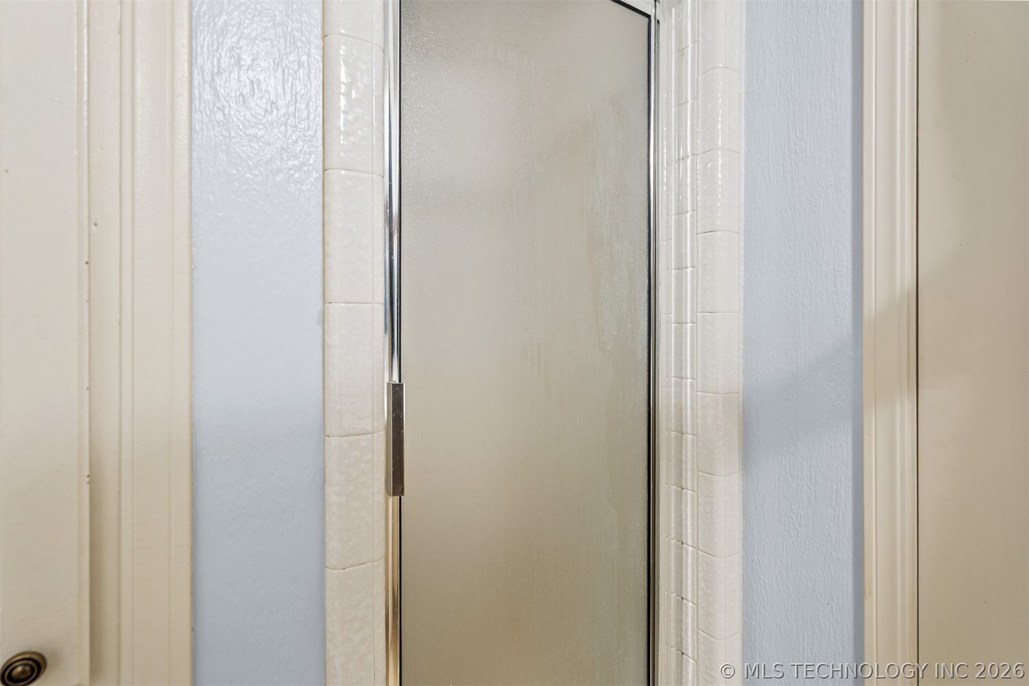 1726 Downing Street Property Photo 23
