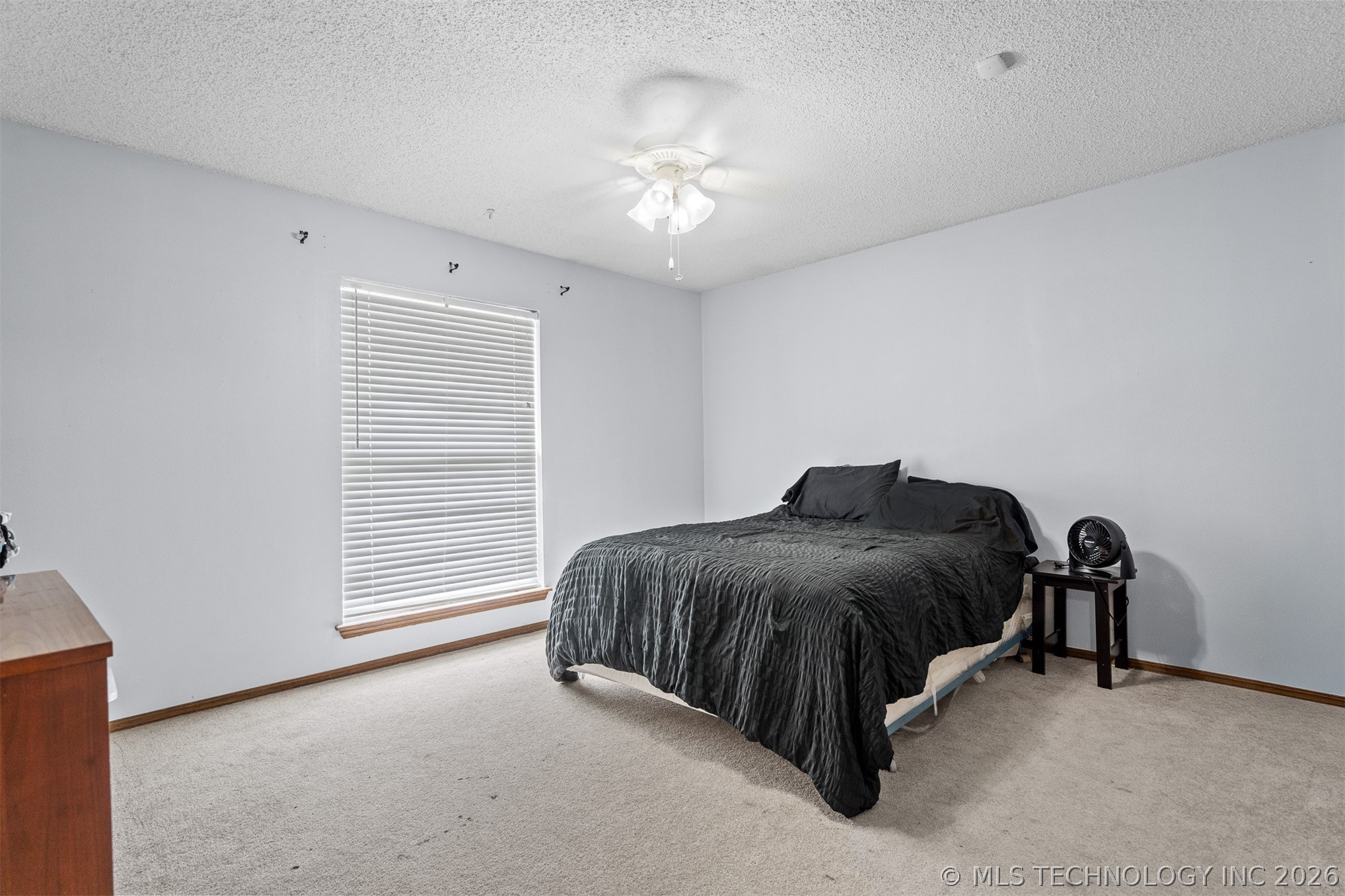 1726 Downing Street Property Photo 24