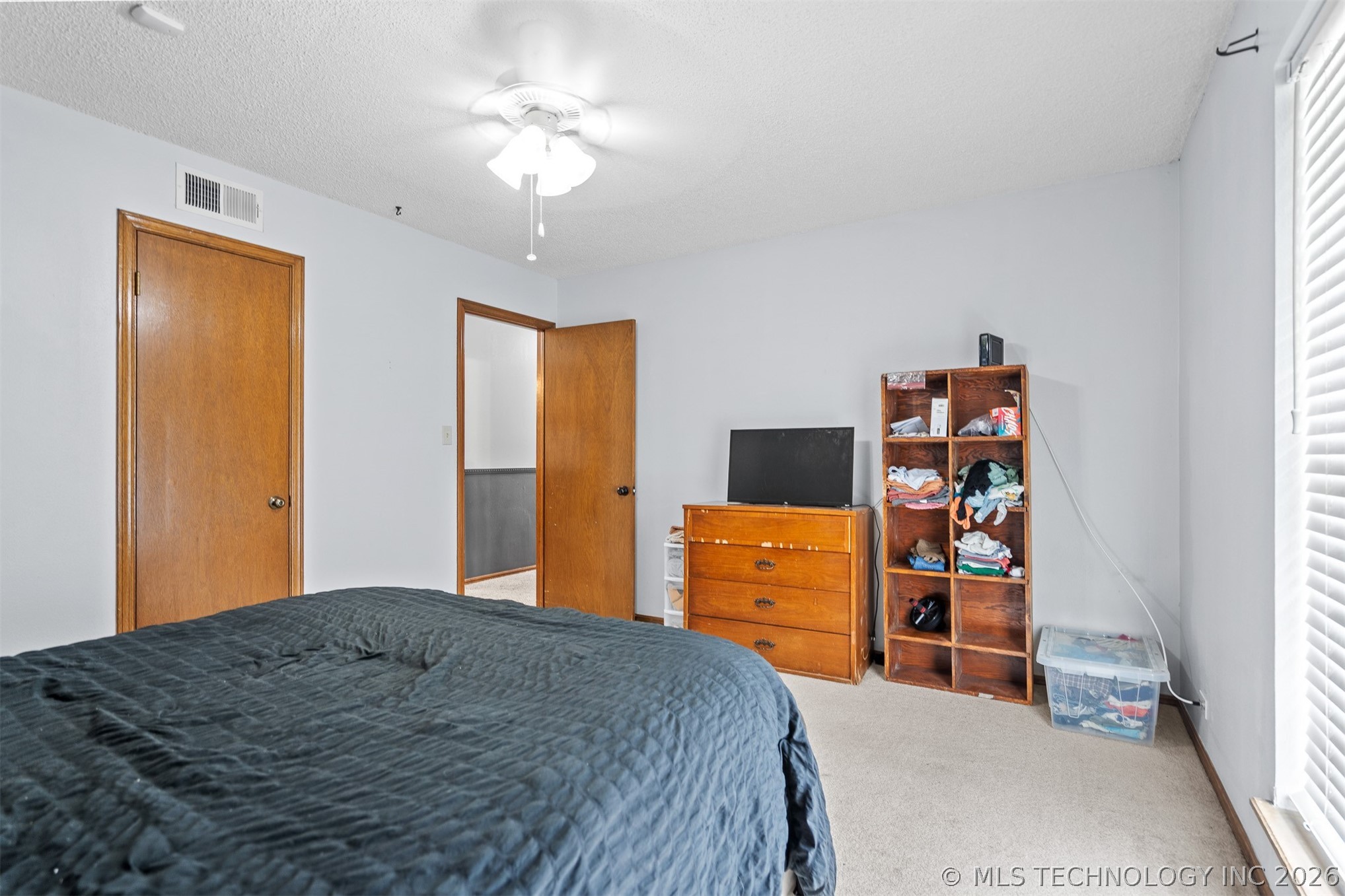 1726 Downing Street Property Photo 25
