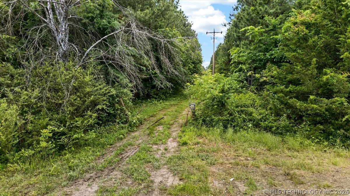 Williams Road Property Photo 11