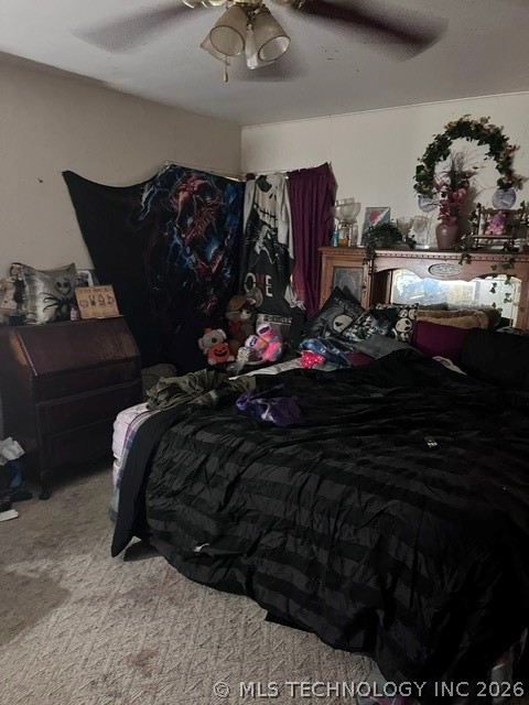 114 S 12 Street Property Photo 4