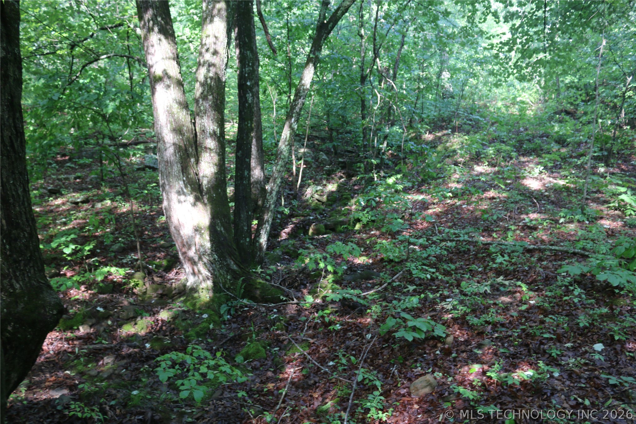 99616 S 4707 Property Photo 14