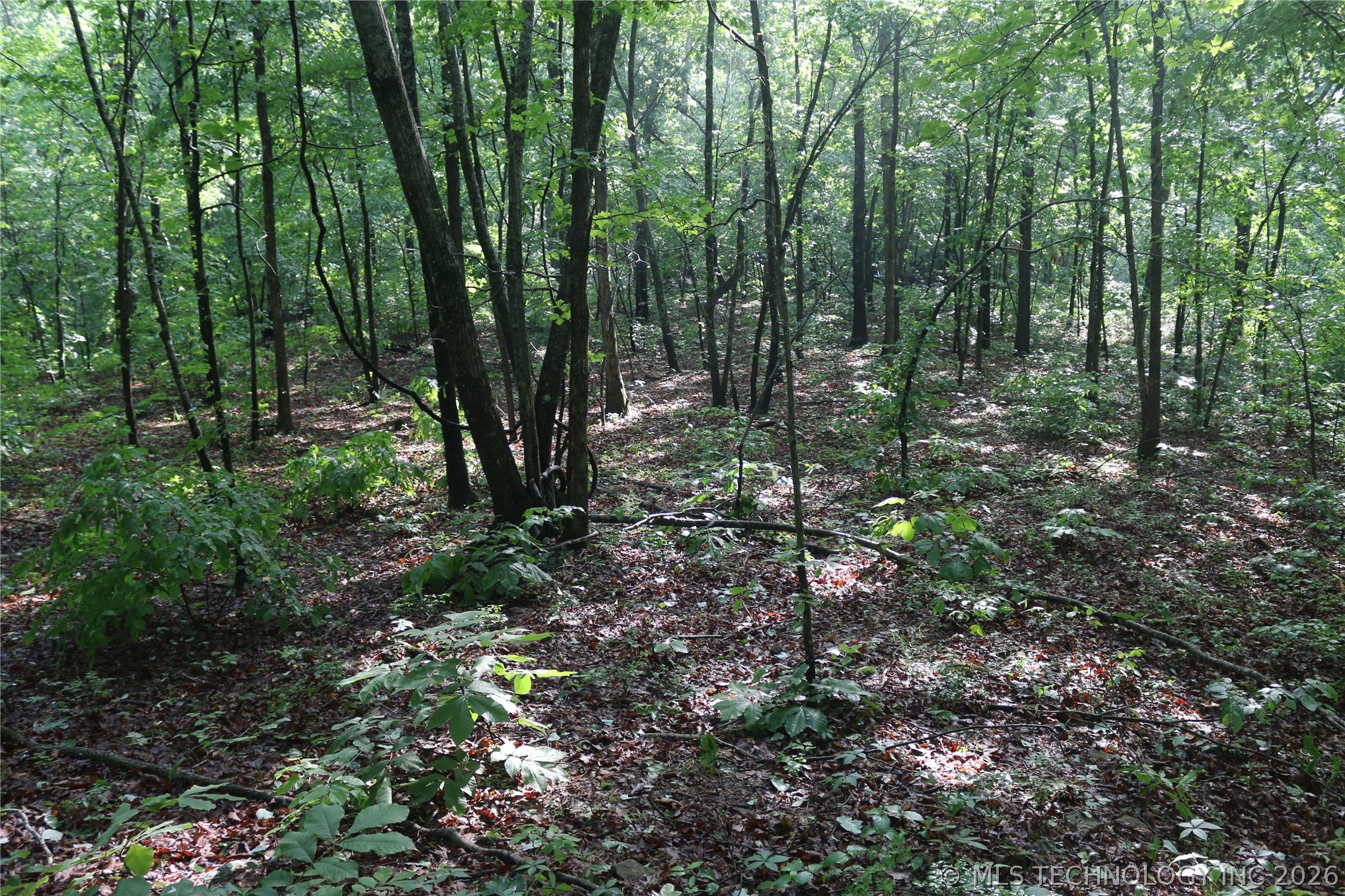 99616 S 4707 Property Photo 15