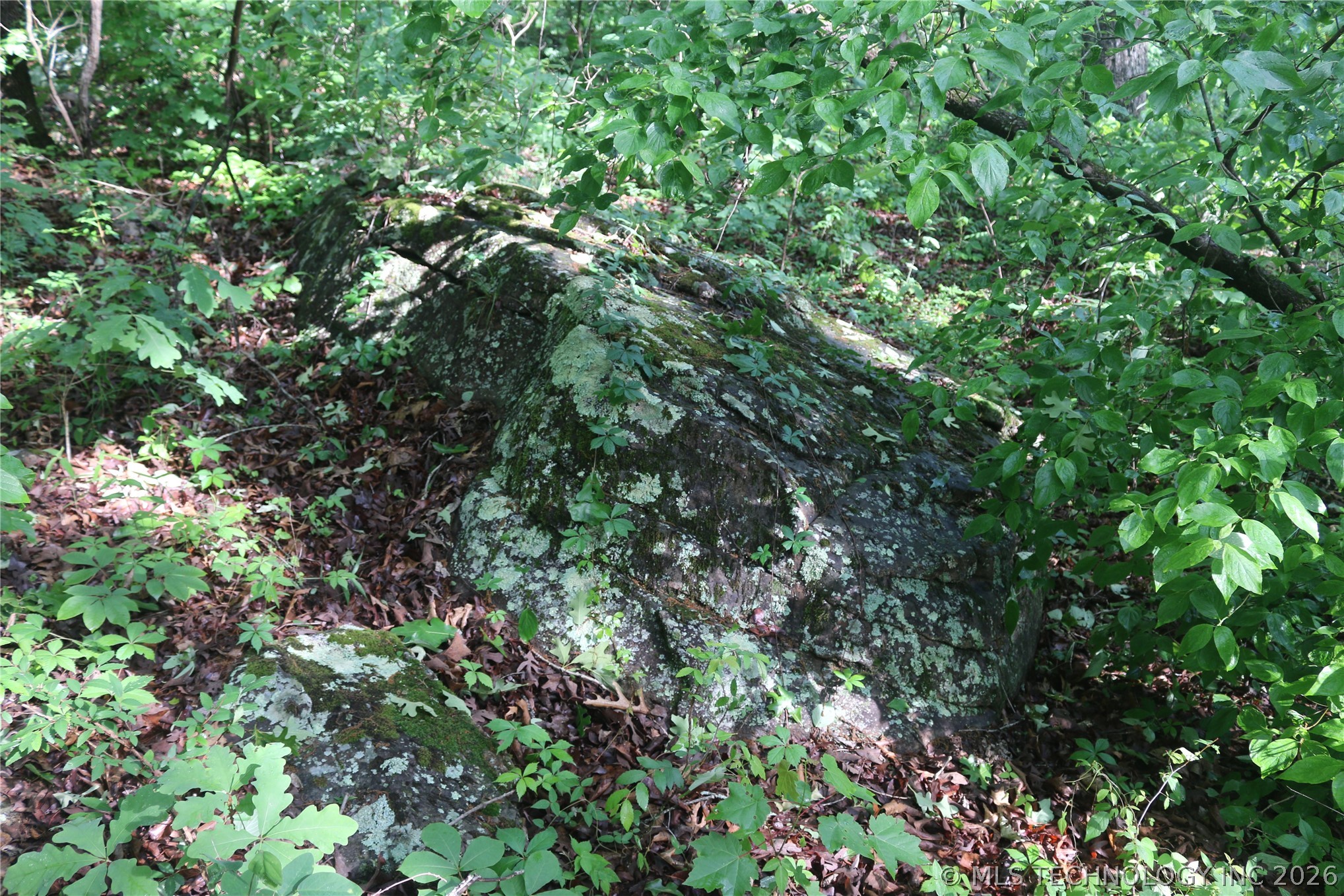 99616 S 4707 Property Photo 16