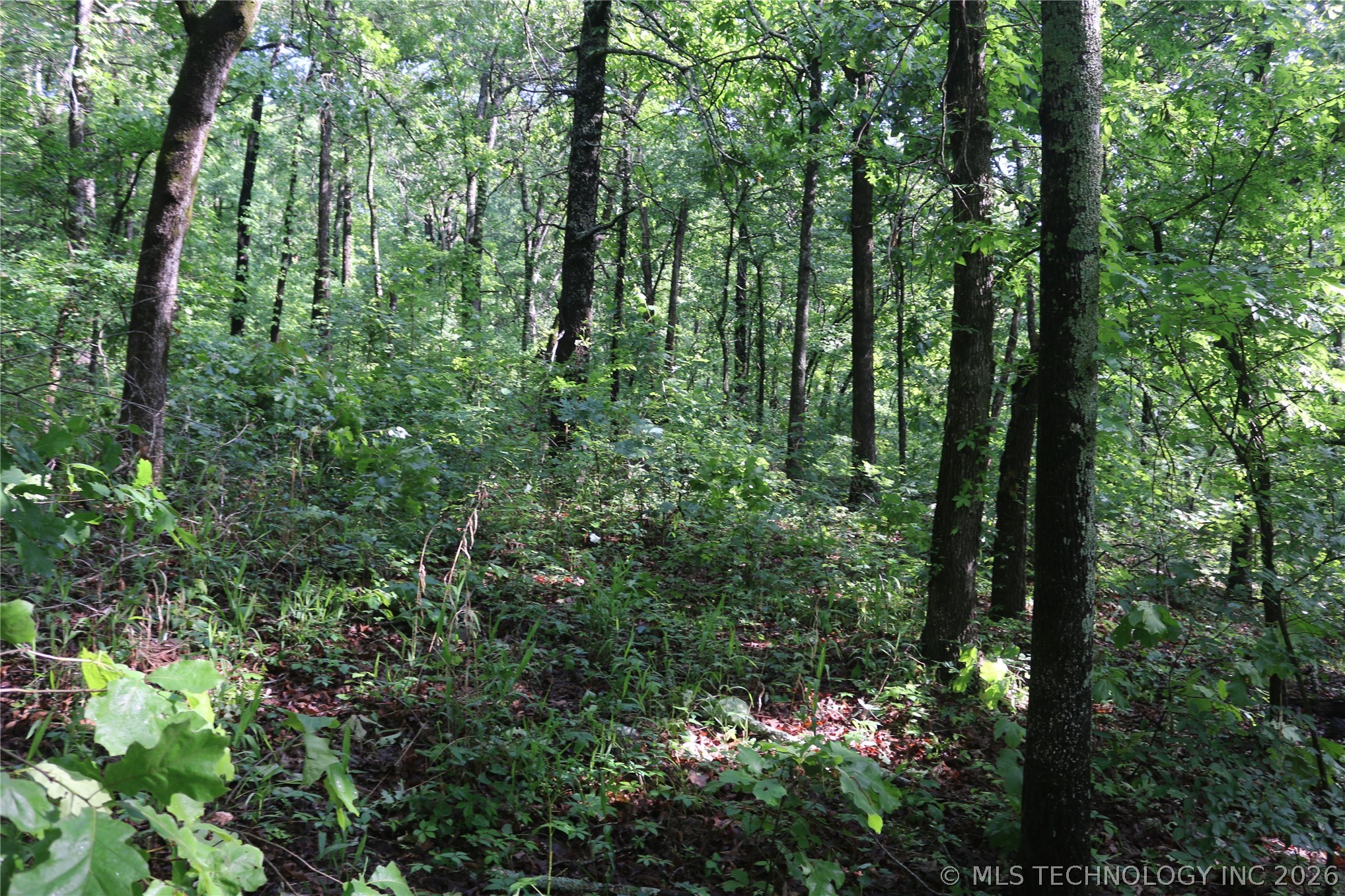 99616 S 4707 Property Photo 21