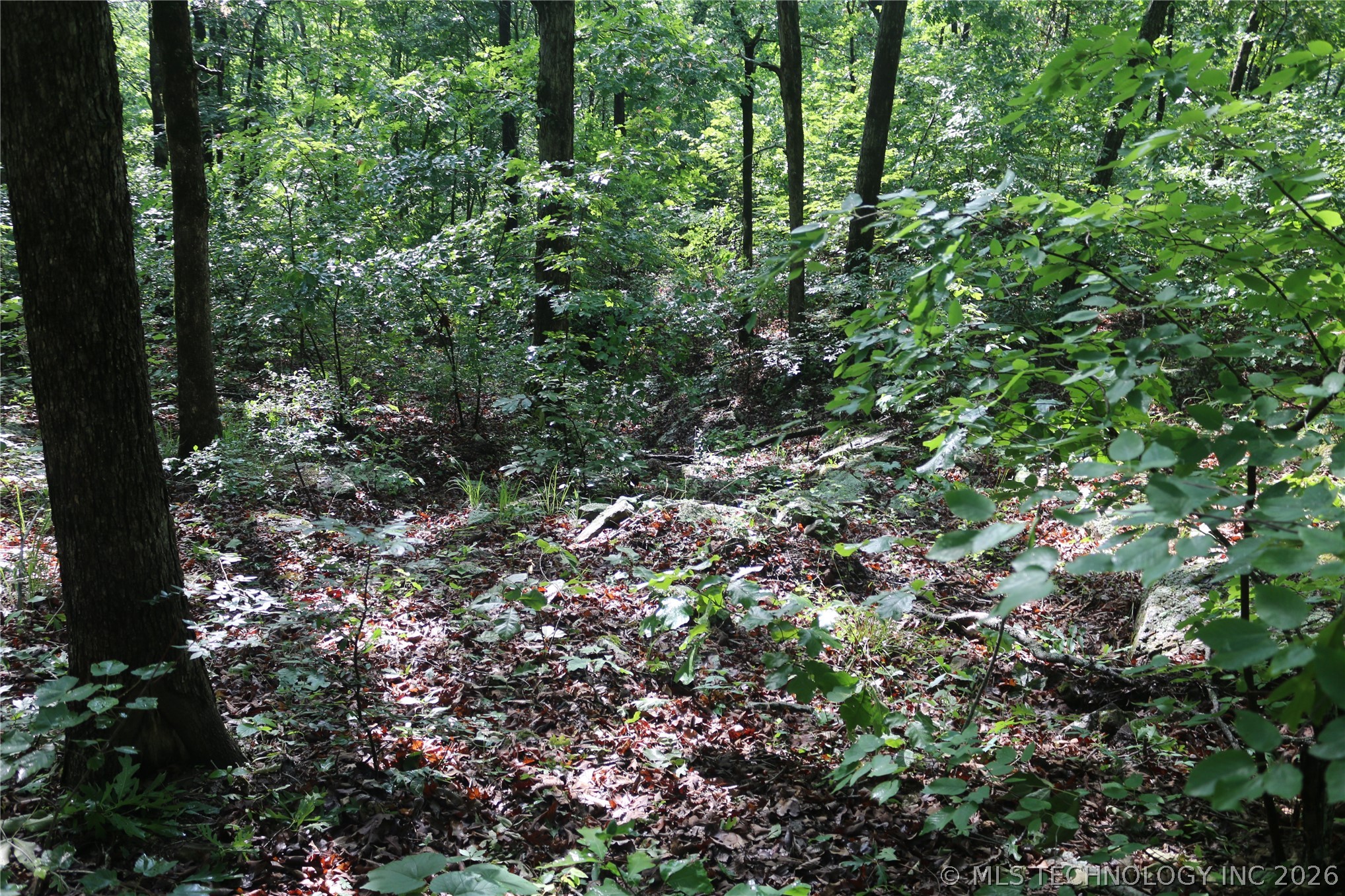 99616 S 4707 Property Photo 22