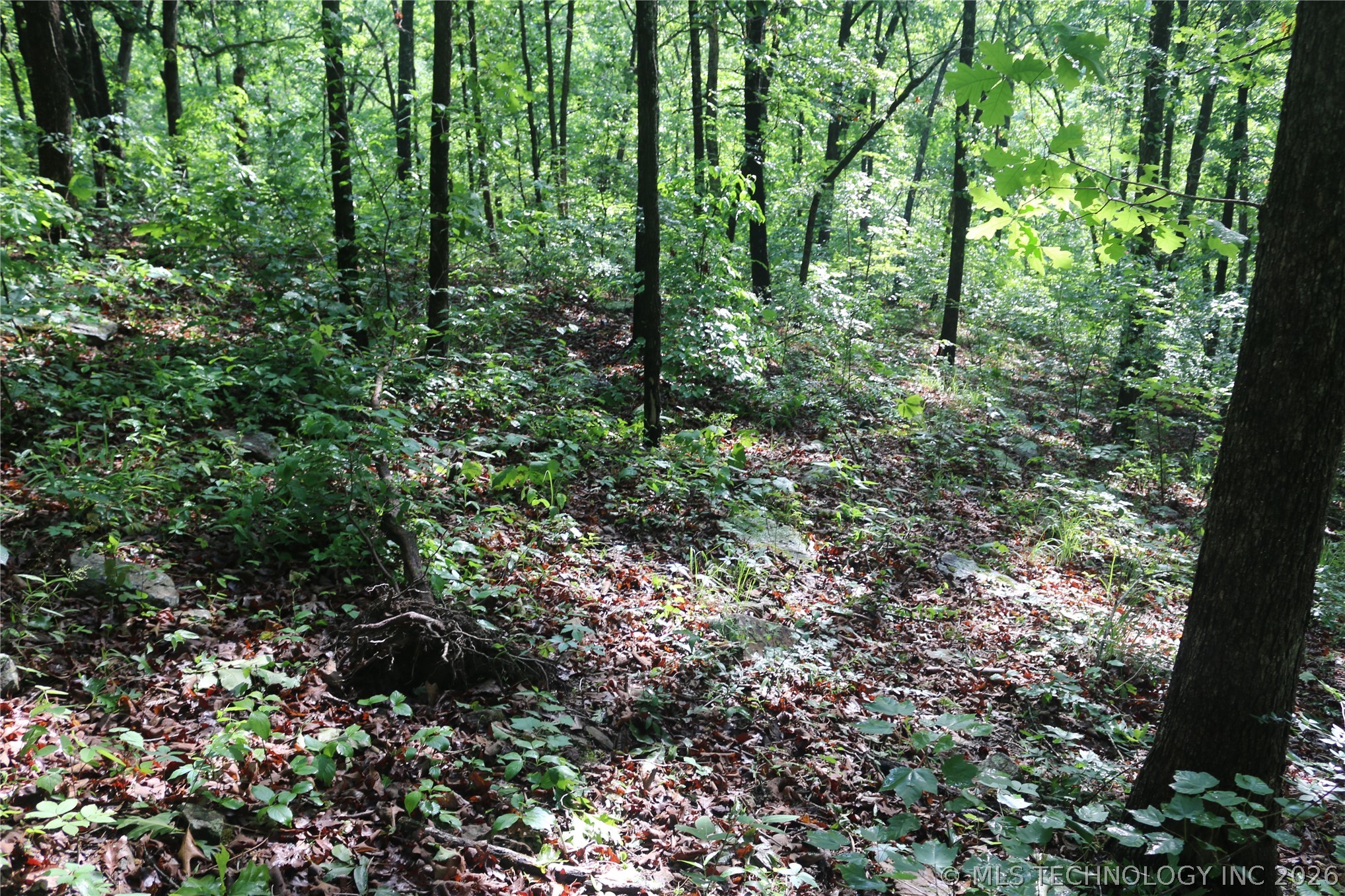 99616 S 4707 Property Photo 23