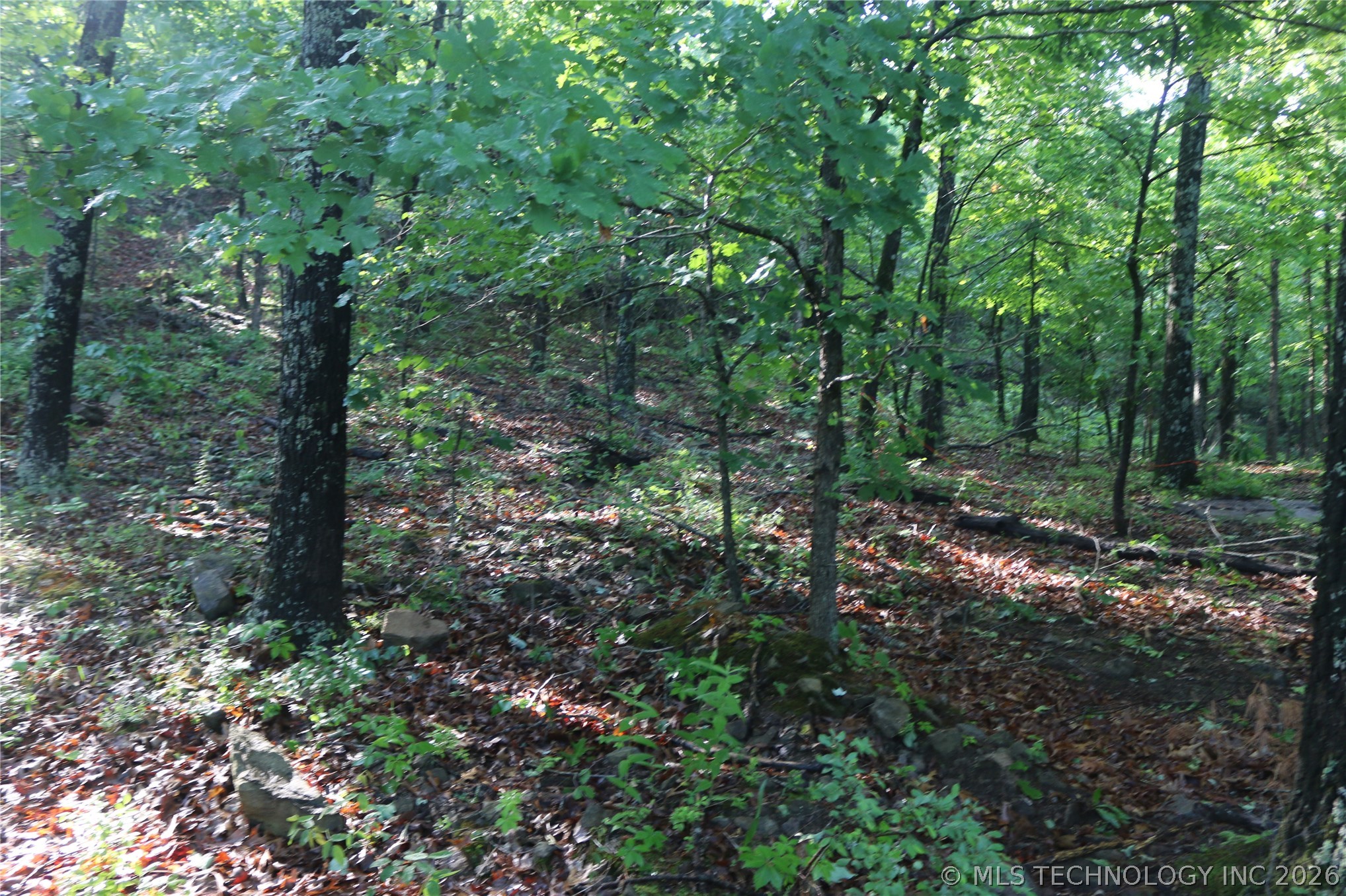 99616 S 4707 Property Photo 29