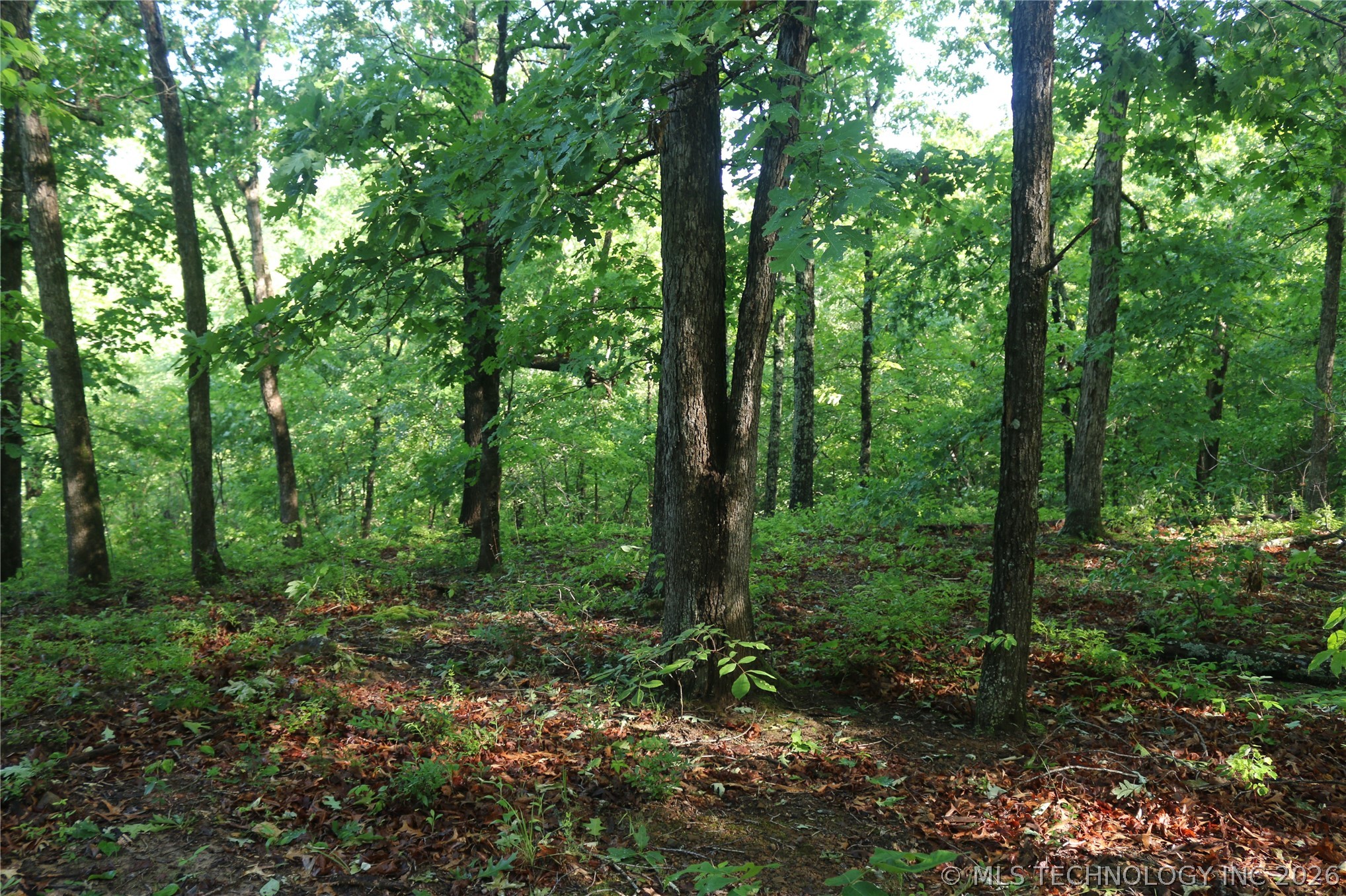 99616 S 4707 Property Photo 31