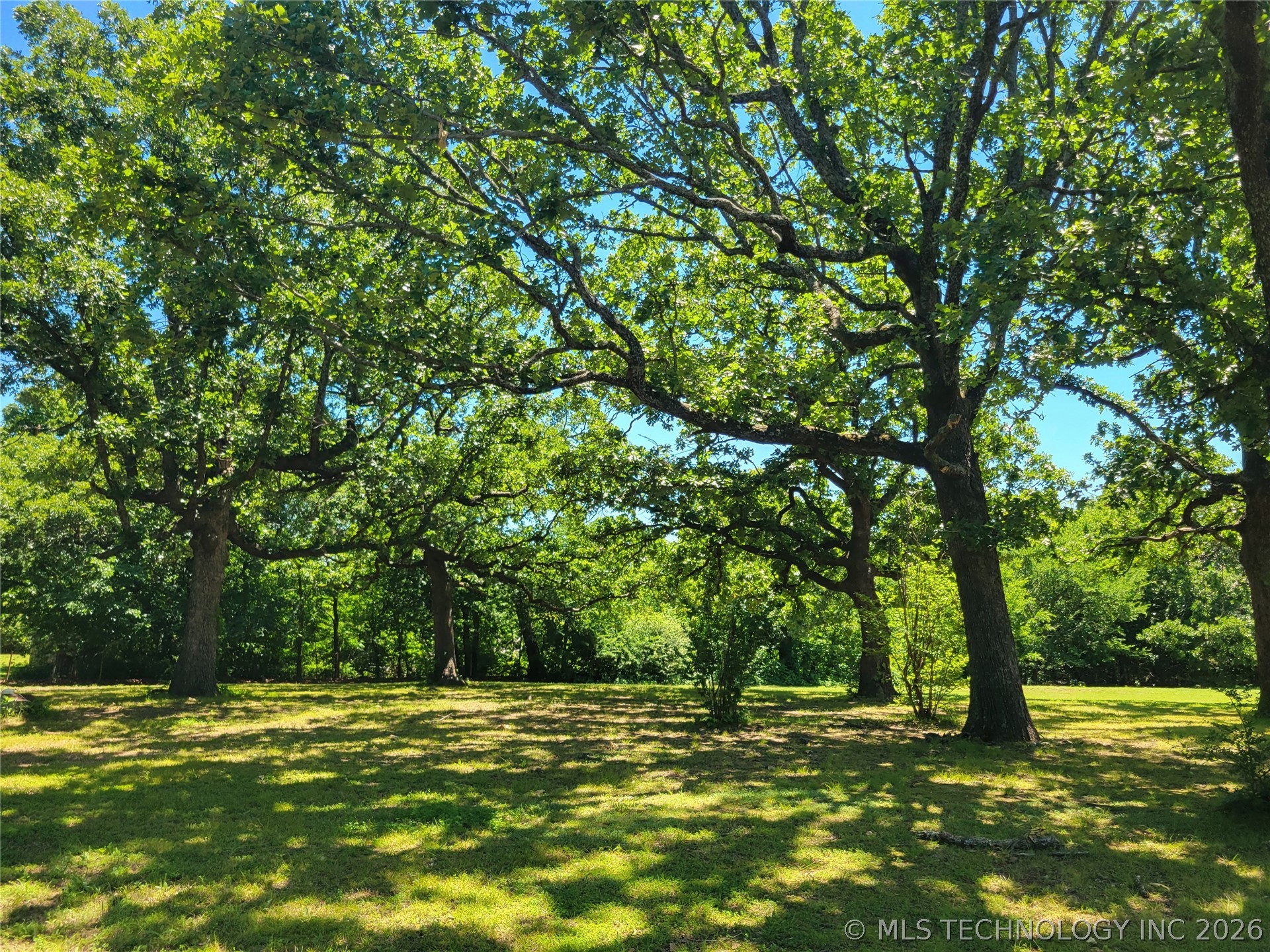 1034 Oak Property Photo 41