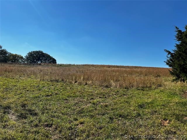 11247 S Buckholt Property Photo 1