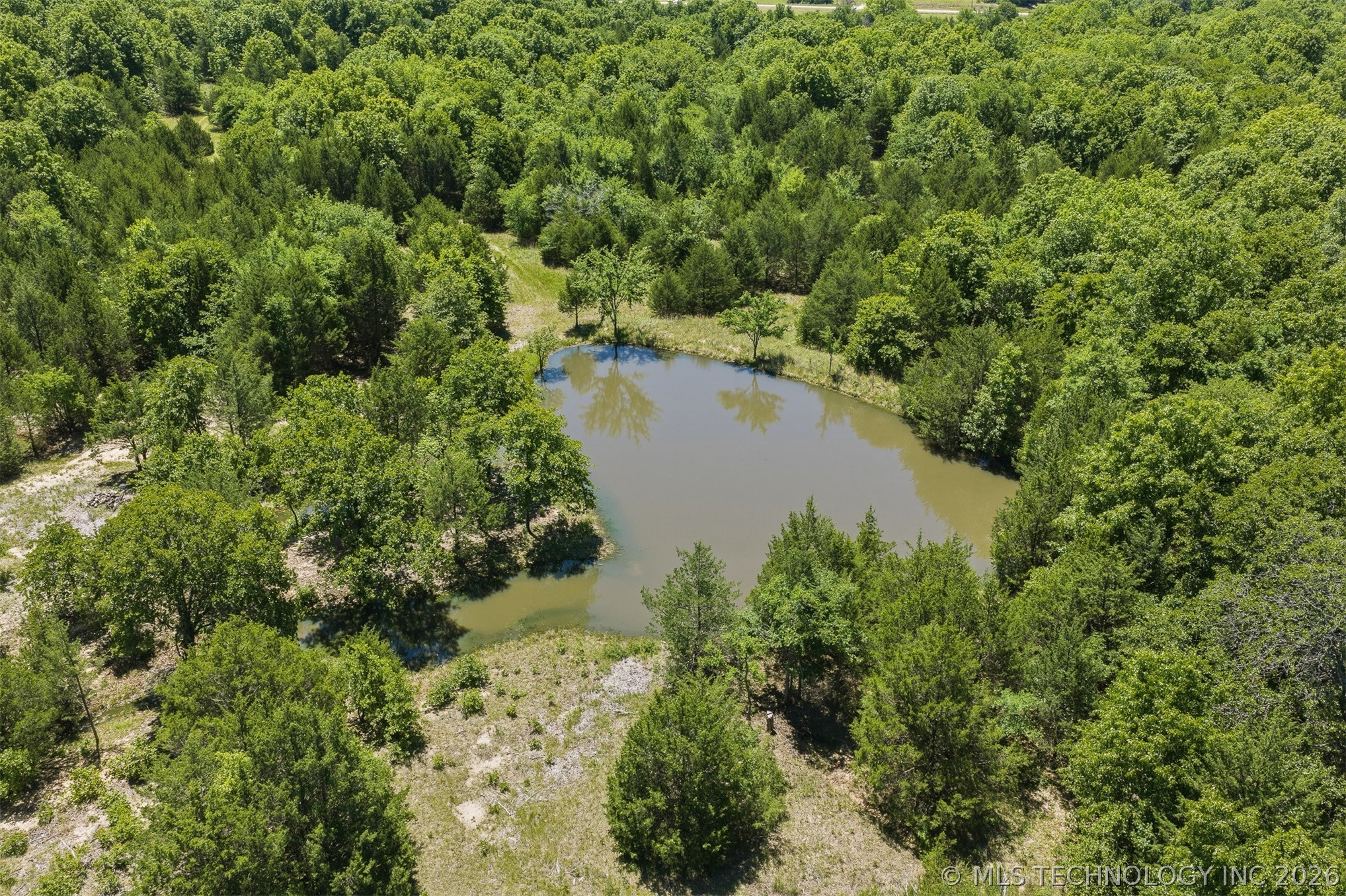 5665 County Road 1470 Property Photo 5
