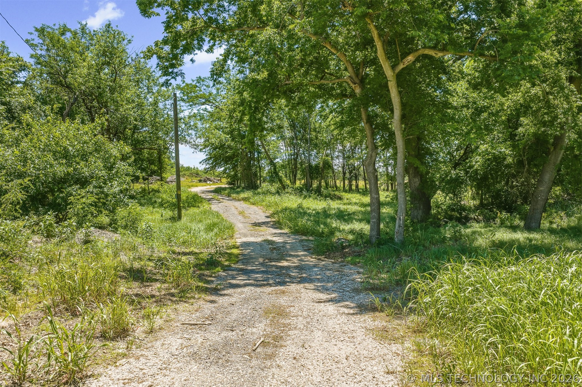 5665 County Road 1470 Property Photo 6