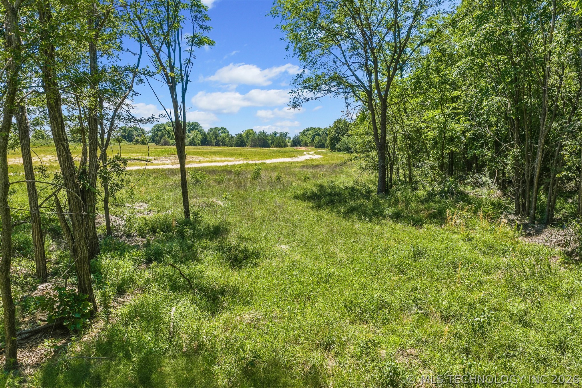 5665 County Road 1470 Property Photo 7