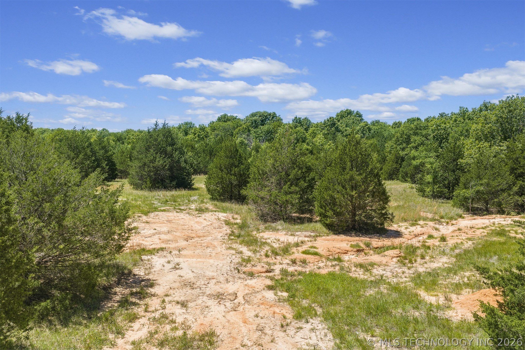 5665 County Road 1470 Property Photo 8