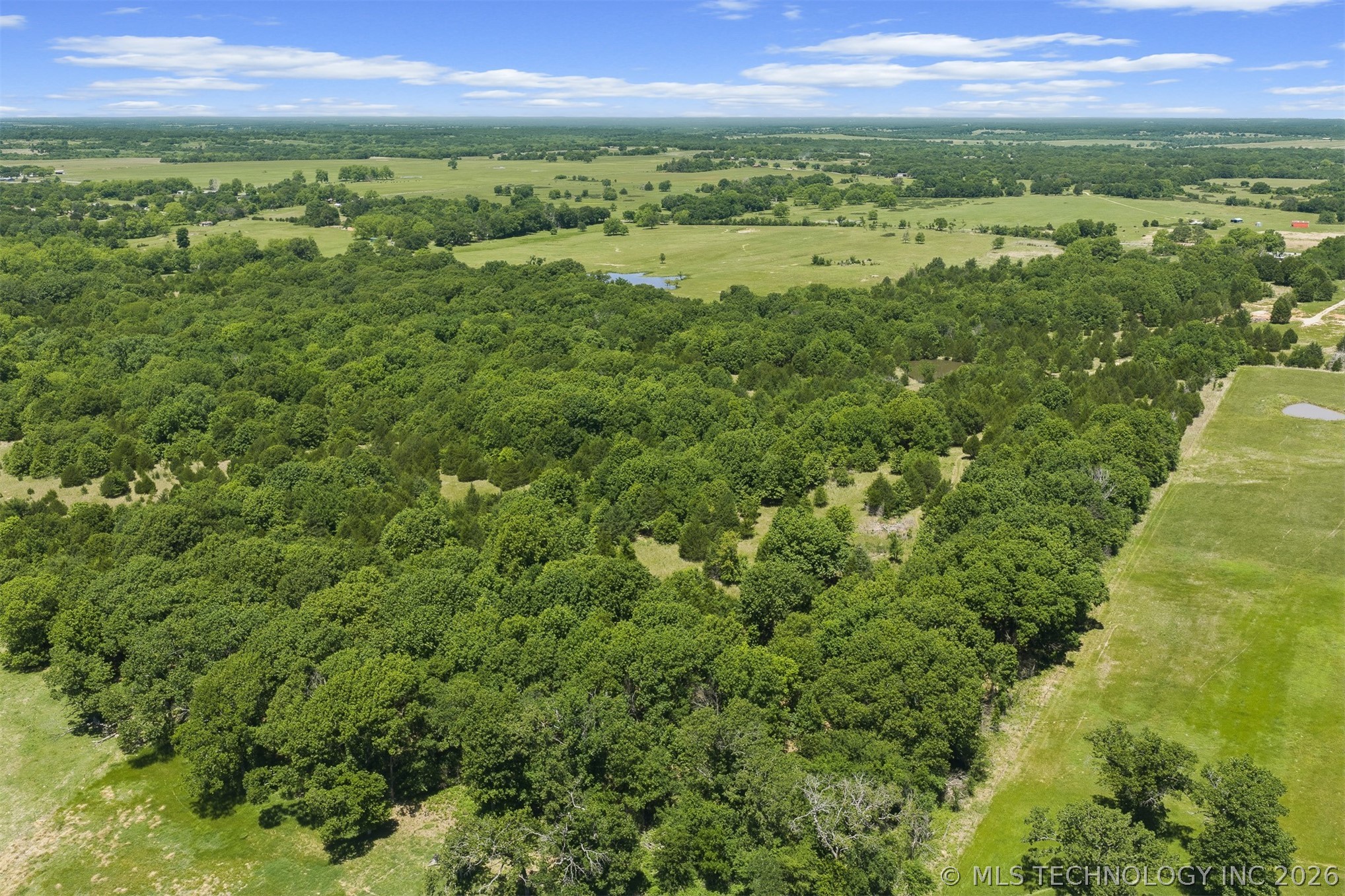 5665 County Road 1470 Property Photo 16