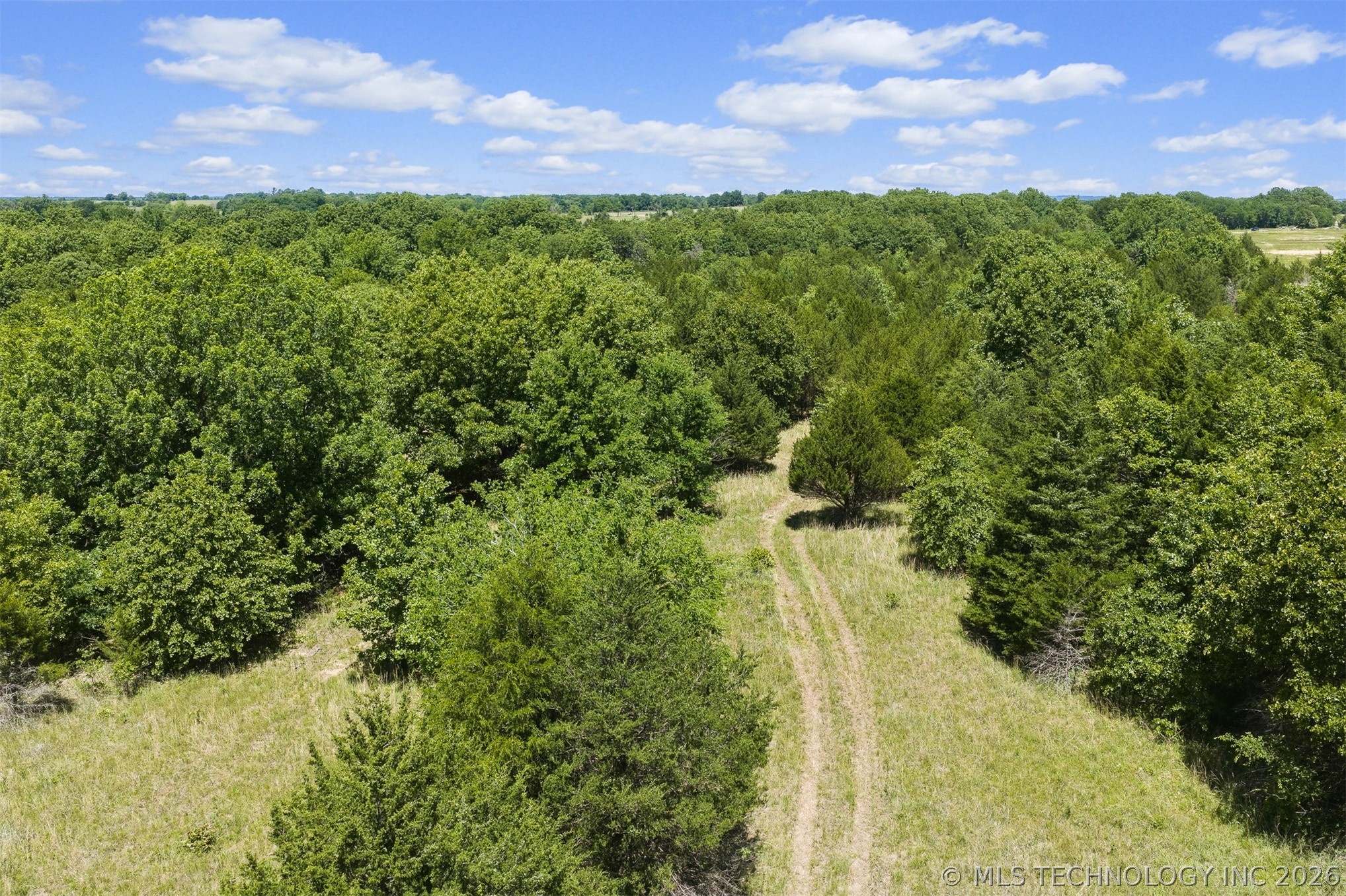 5665 County Road 1470 Property Photo 17