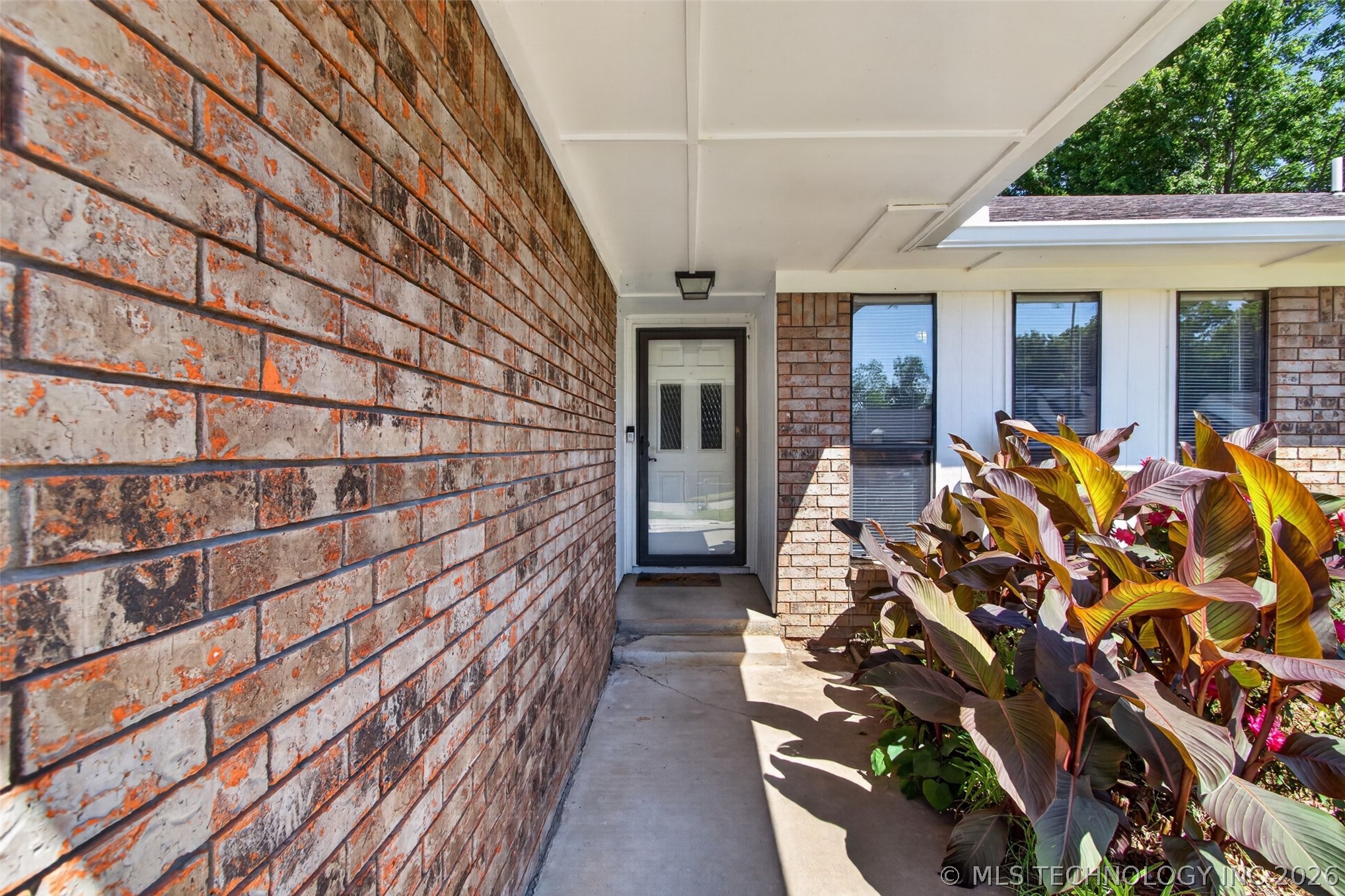 113 Magnolia Avenue Property Photo 3