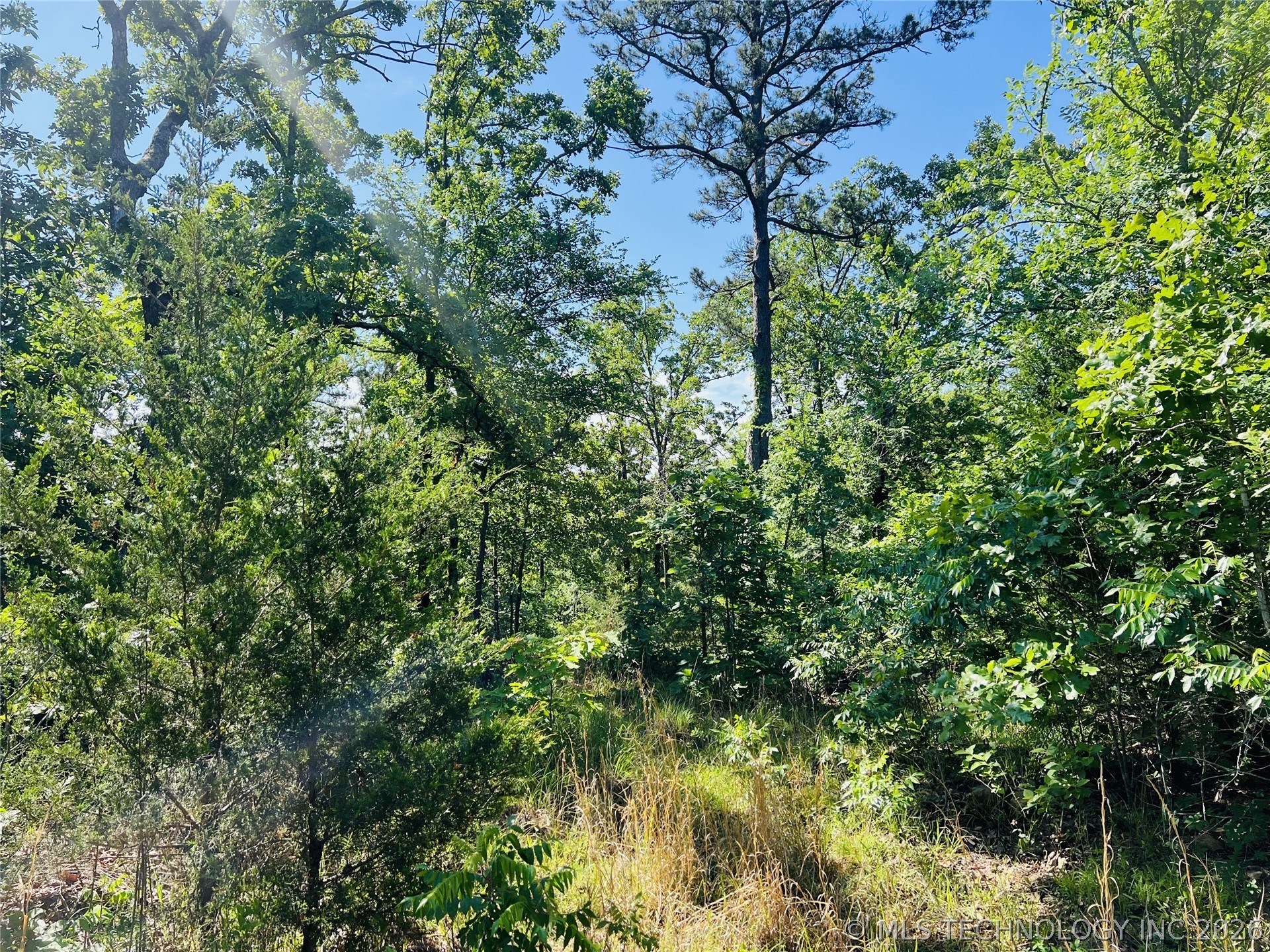 0000 4289 Road Property Photo 8