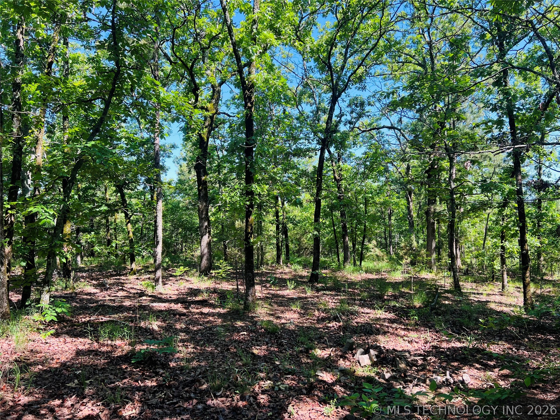 0000 4289 Road Property Photo 15