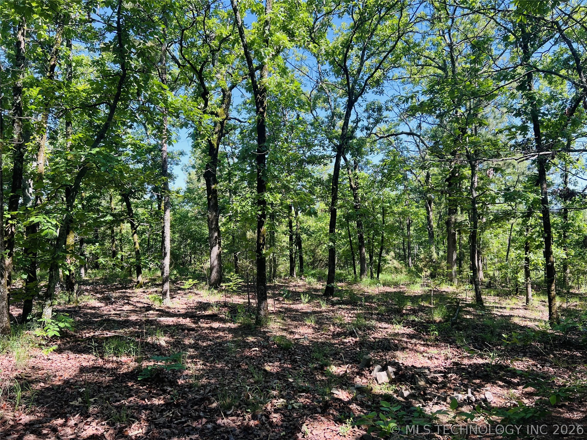 0000 4289 Road Property Photo 16