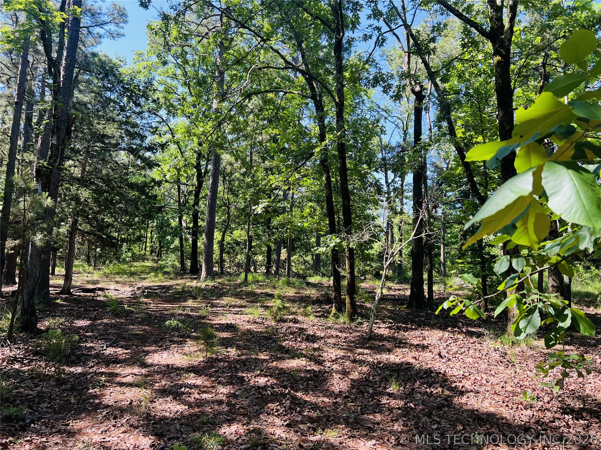 0000 4289 Road Property Photo 17