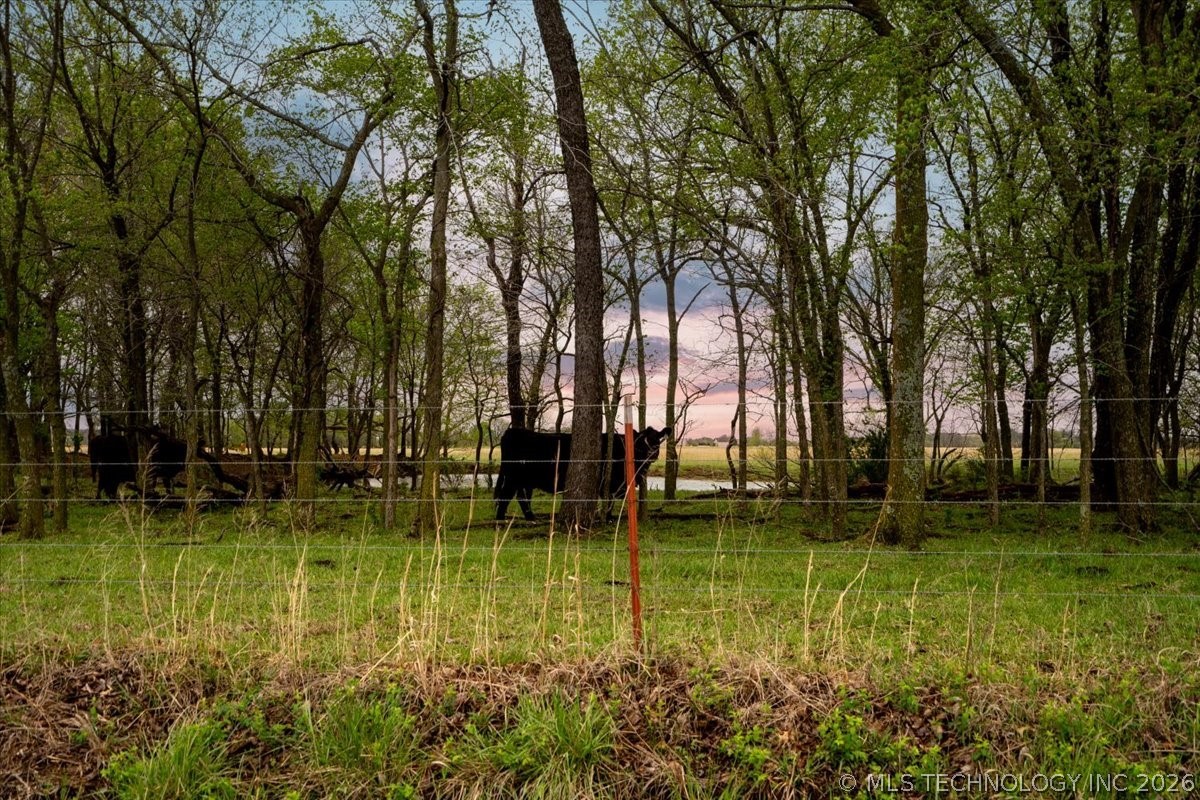 03 E 210 Road Property Photo 19