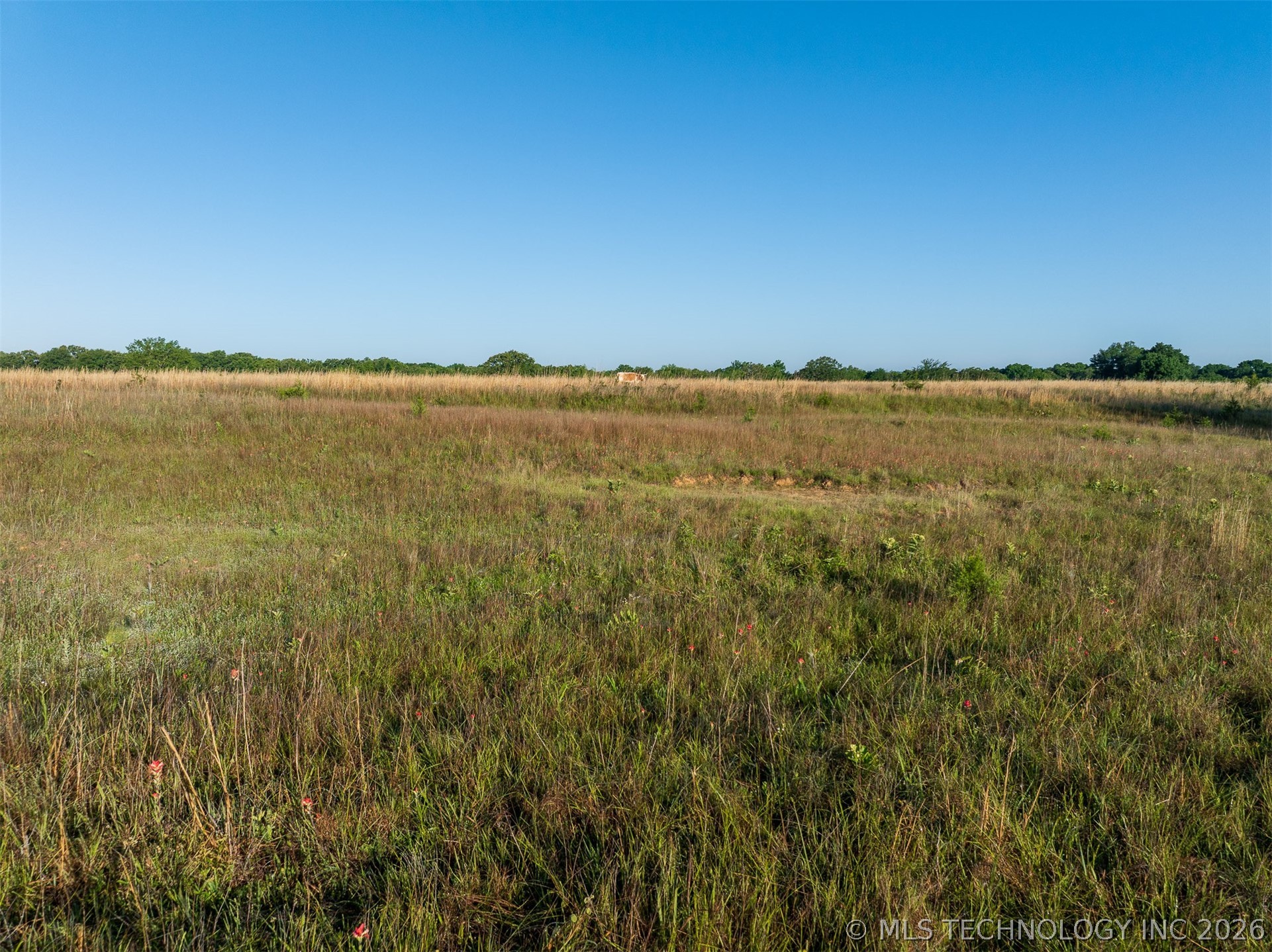 24751 S 200 Road Property Photo 83