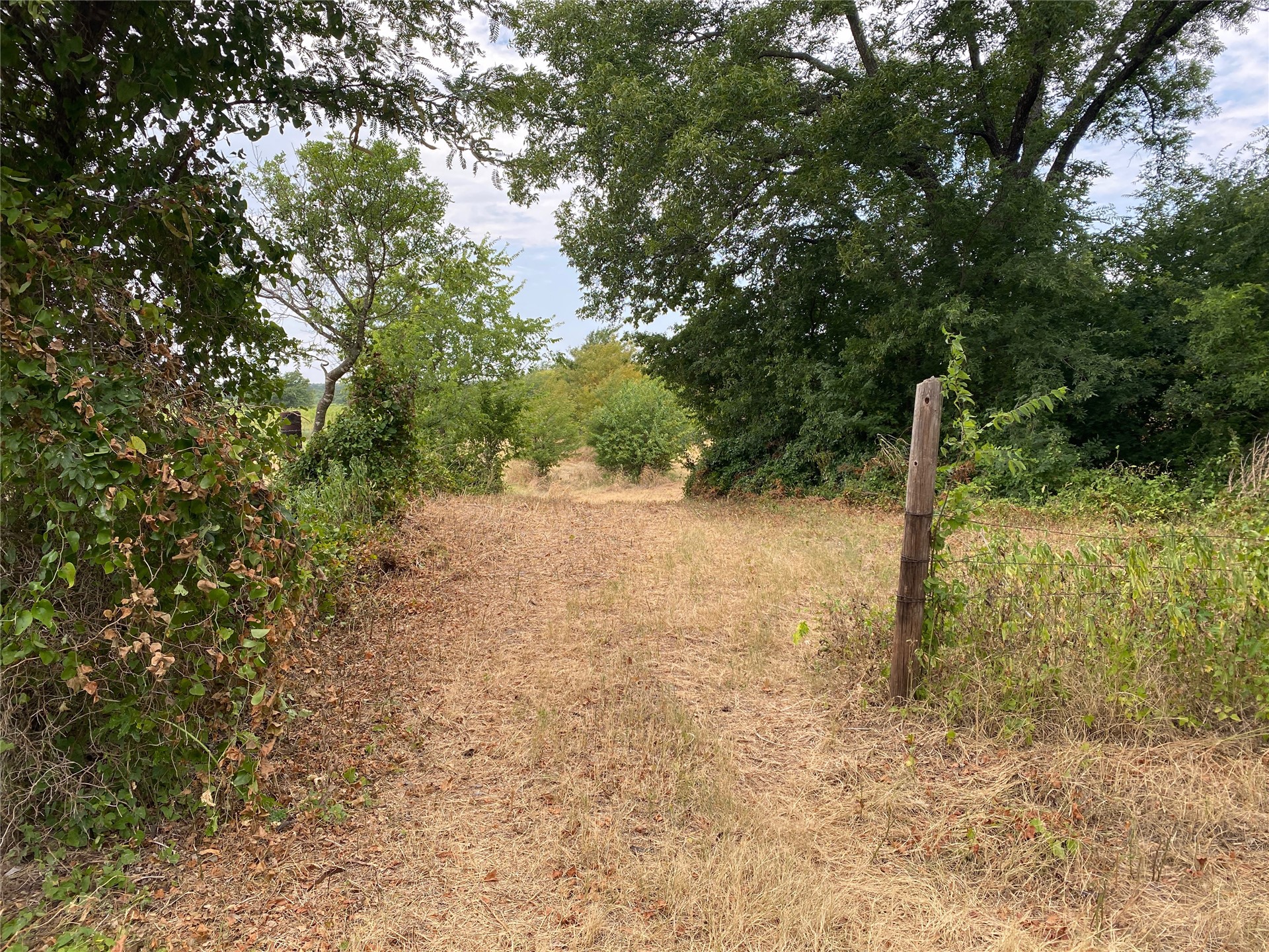 0000 Mac Frazier Road Property Photo 5