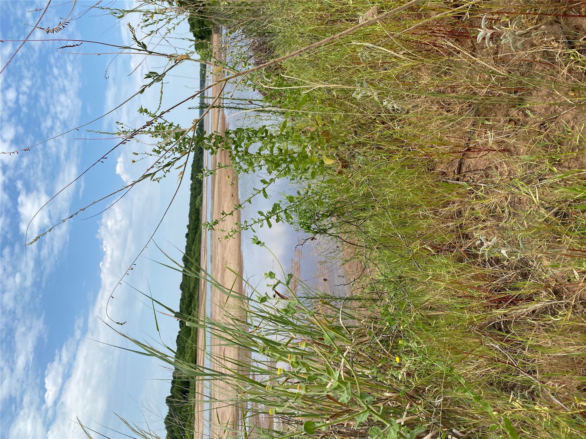 0000 Mac Frazier Road Property Photo 13