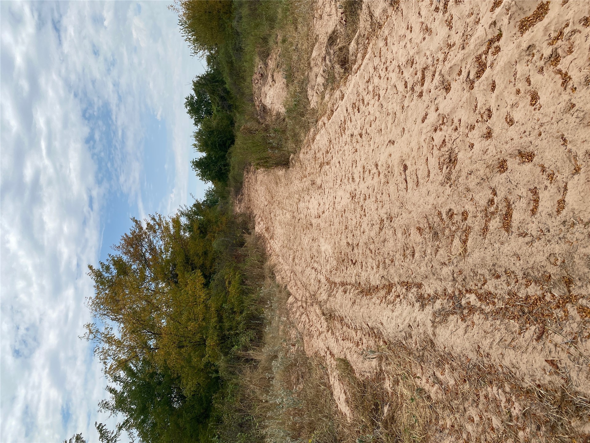 0000 Mac Frazier Road Property Photo 15