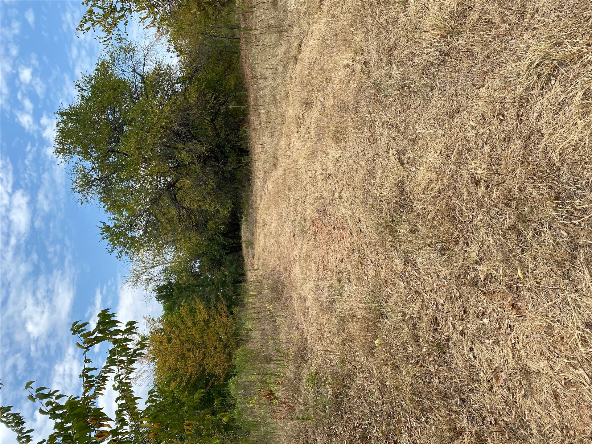 0000 Mac Frazier Road Property Photo 16