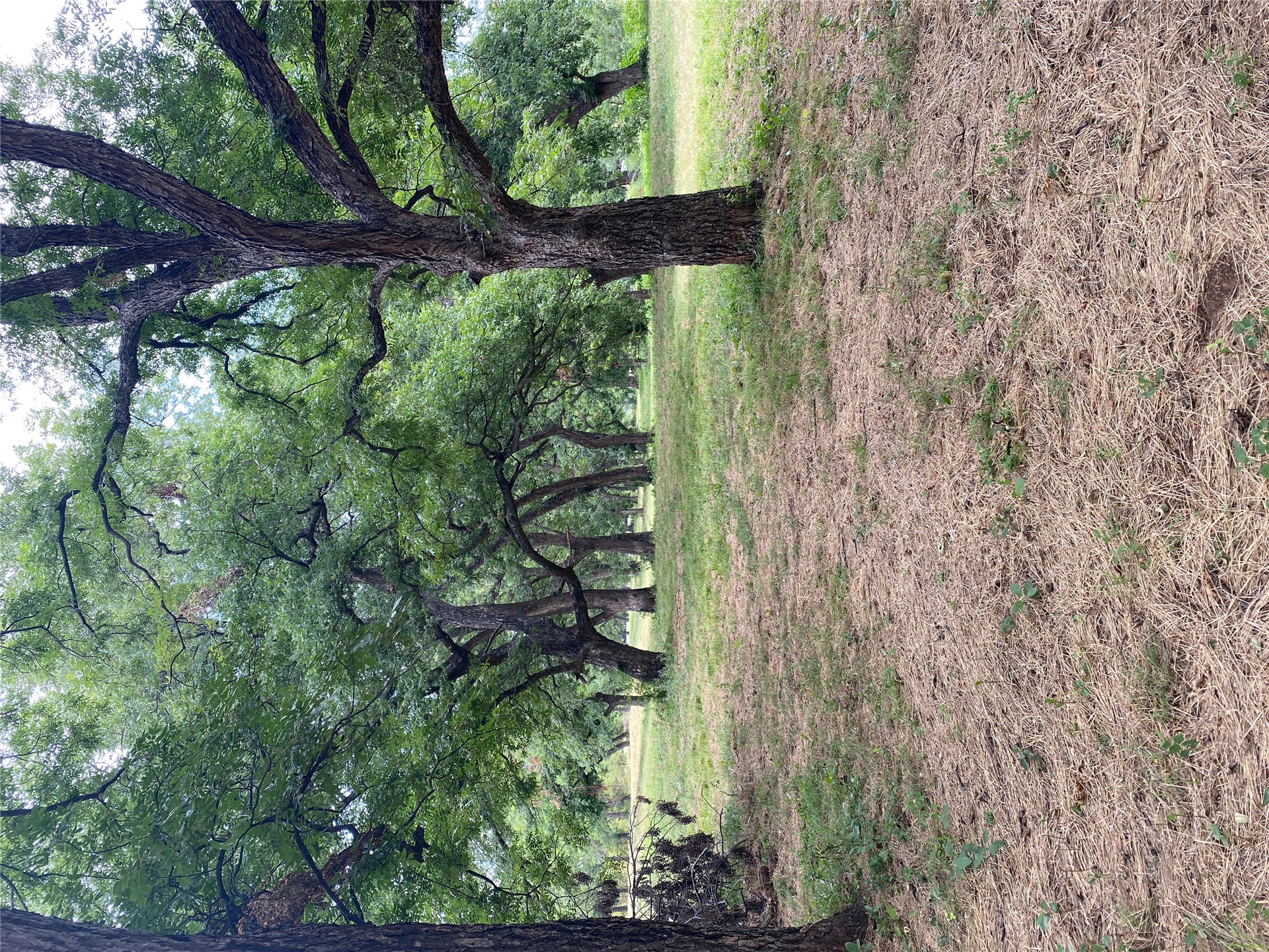 0000 Mac Frazier Road Property Photo 17