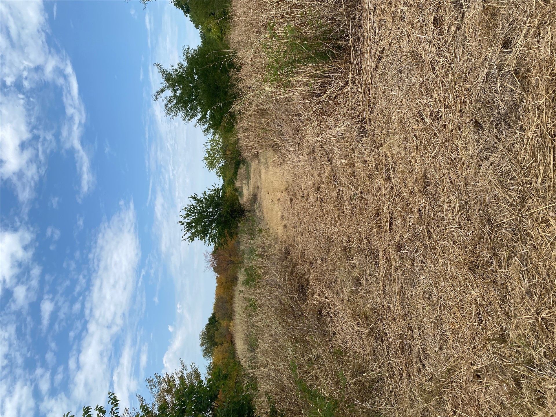 0000 Mac Frazier Road Property Photo 22